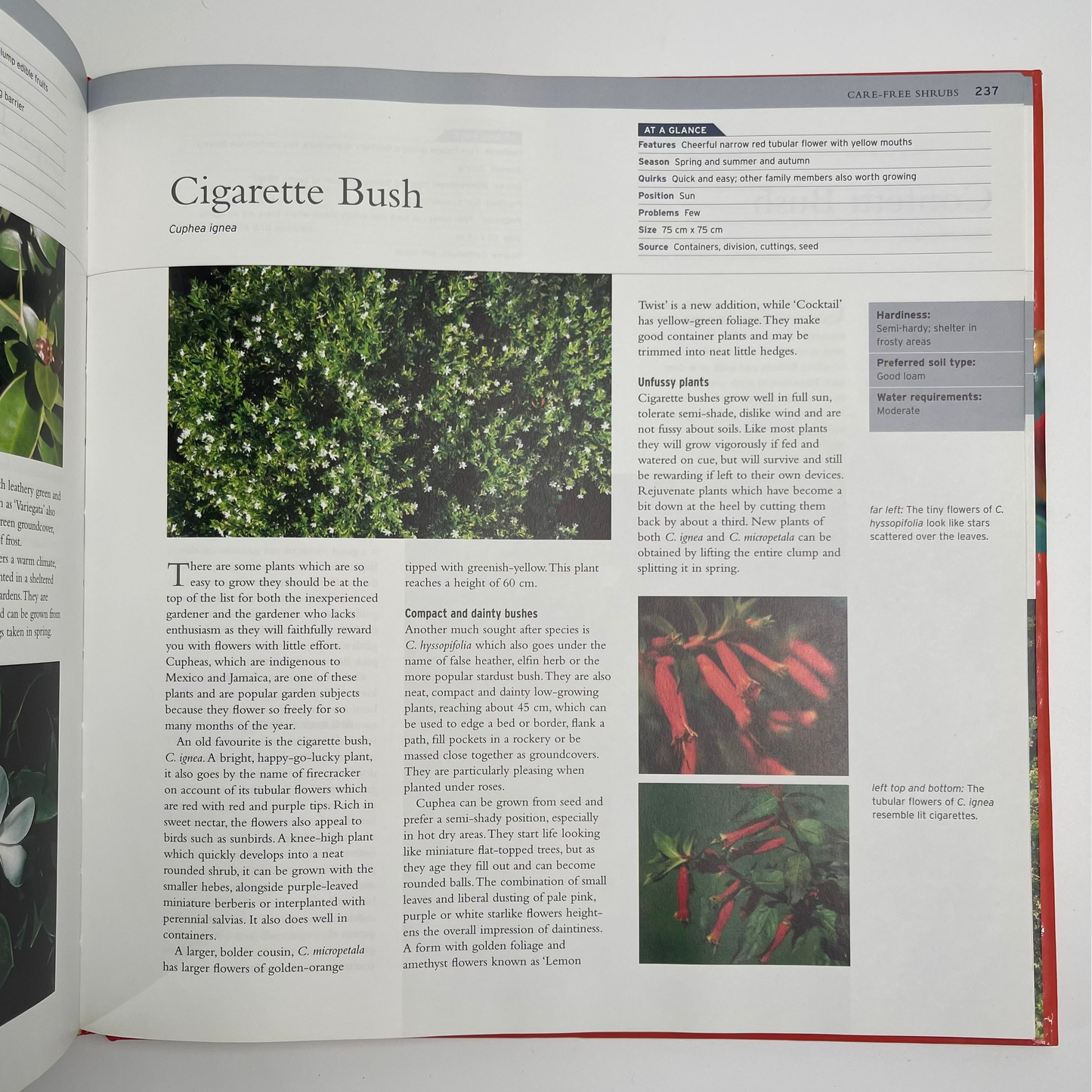 Care-free Plants Over 250 Trouble-free Plants for a Beautiful South African Garden - Reader's Digest (South Africa) - Condition Detail 5