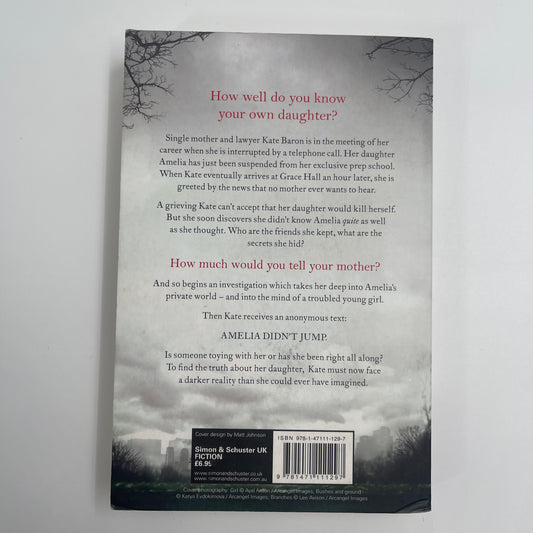 Reconstructing Amelia - Kimberly McCreight - Back Cover