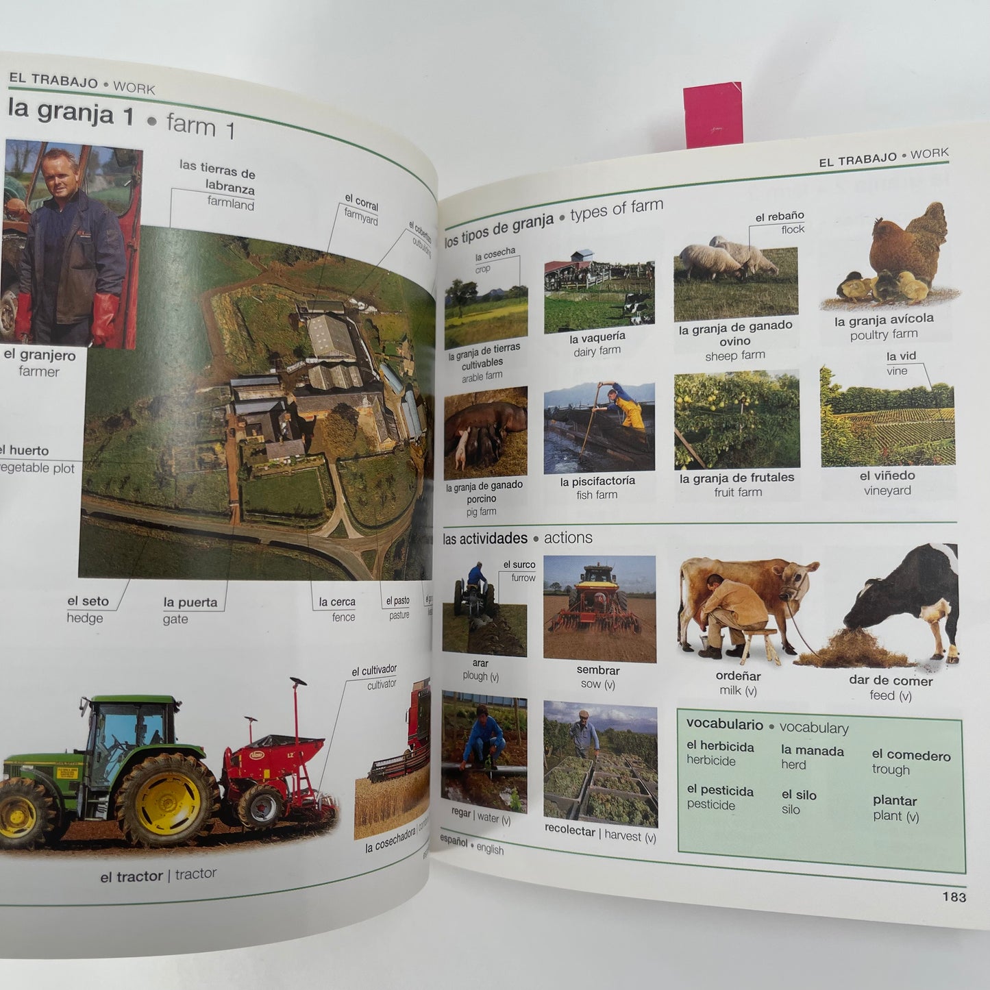 Spanish-English Visual Bilingual Dictionary - Angeles Gavira - Condition Detail 4