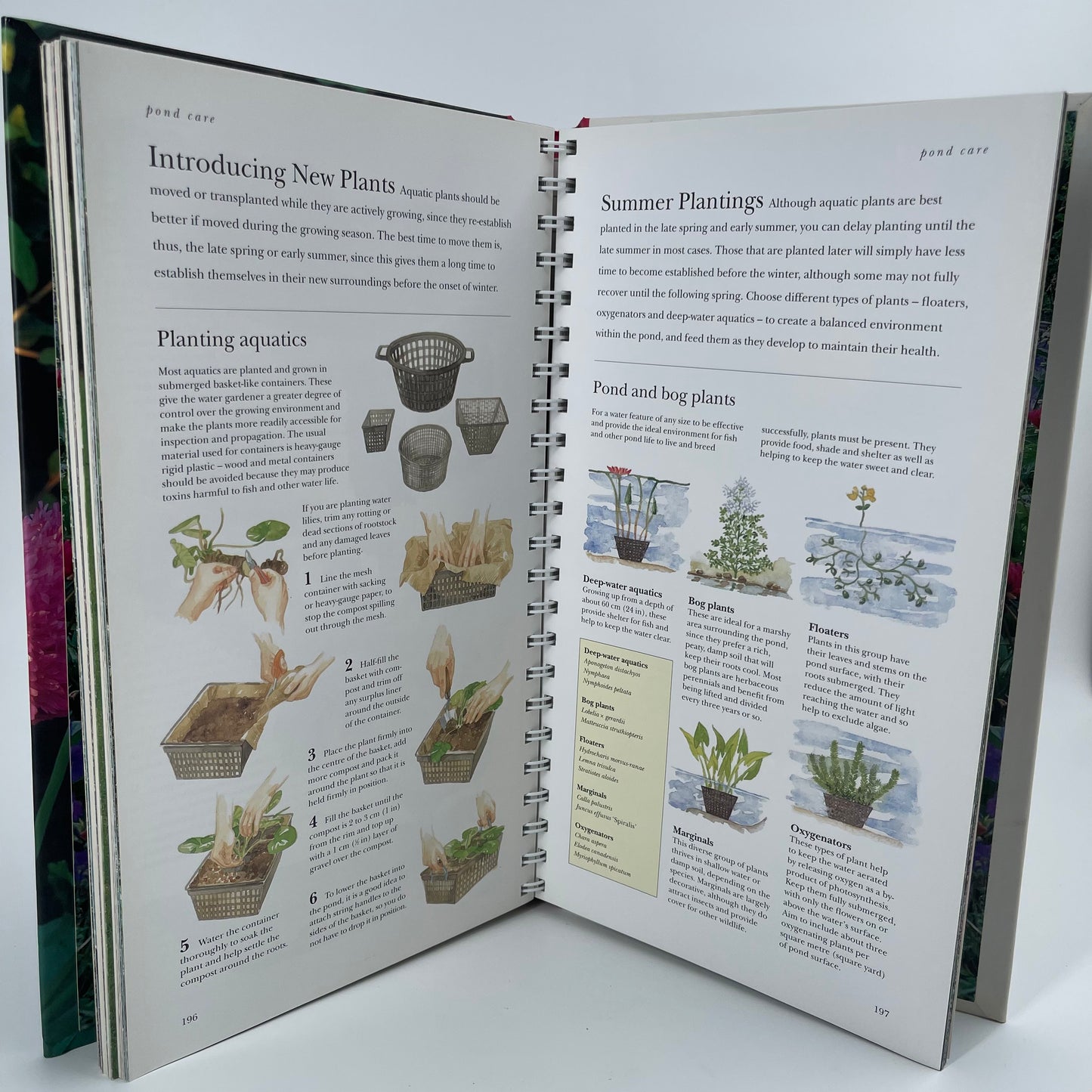 A Year in the Garden - Steve Bradley - Bottom Edge
