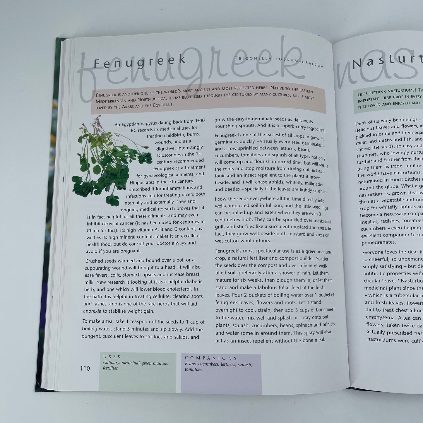 Companion Planting - Margaret Roberts - Bottom Edge
