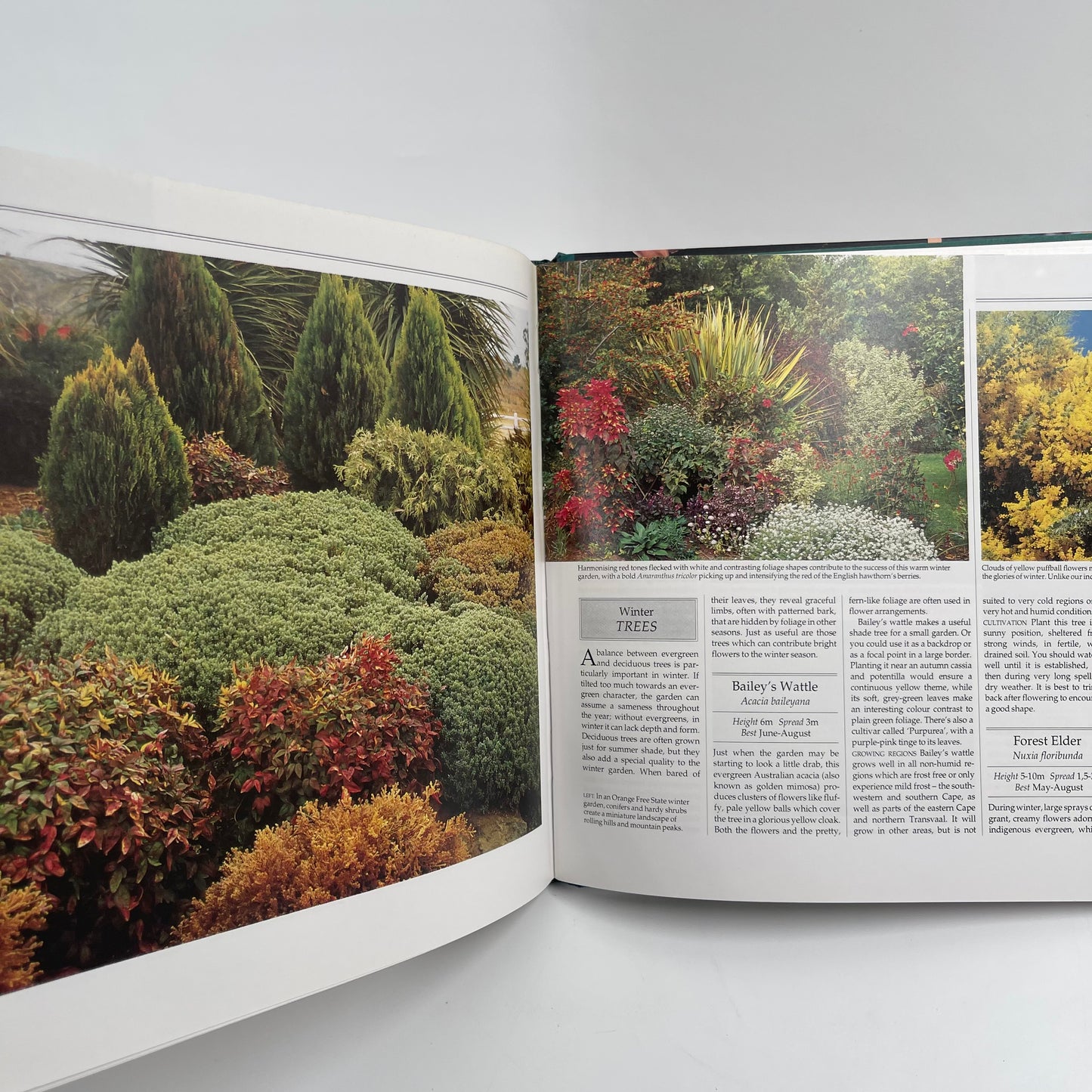 A South African Garden for All Seasons The Secrets of Year-round Garden Beauty - unknown author - Fore Edge