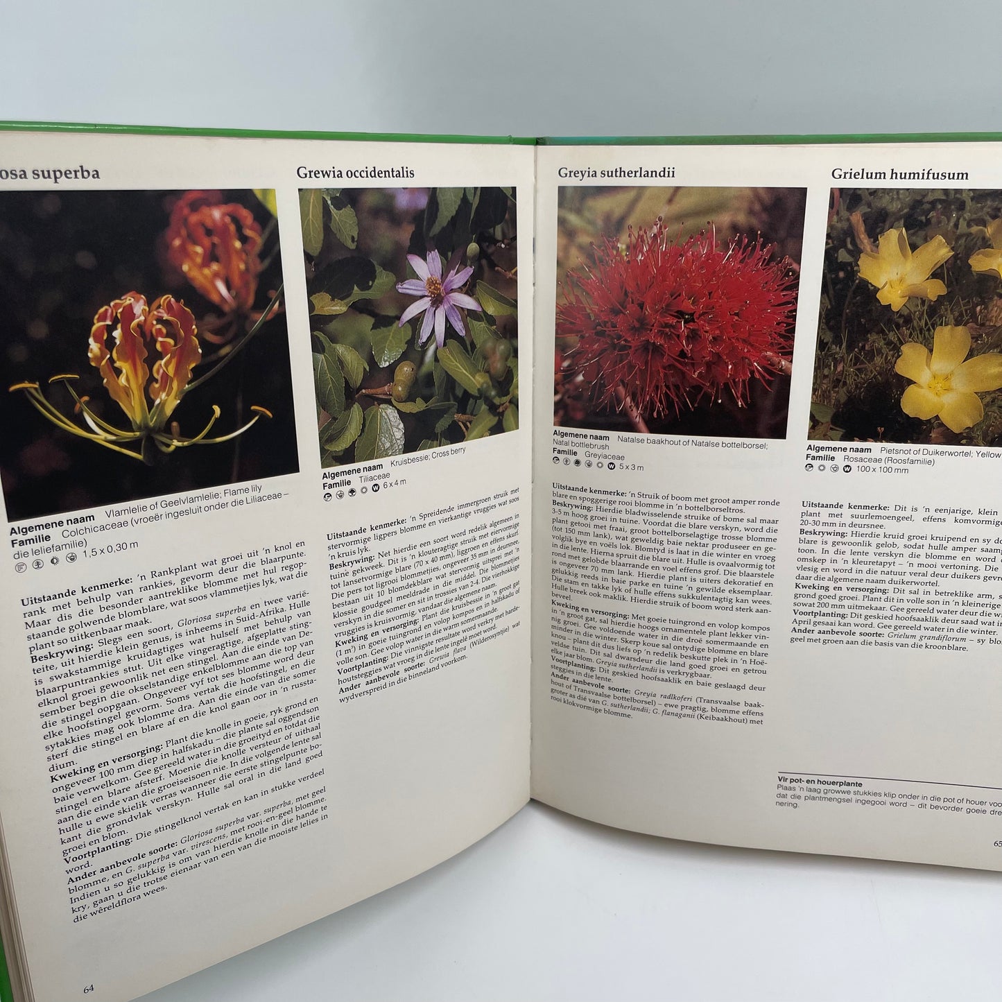 Plant inheems - Kristo Pienaar - Back Cover