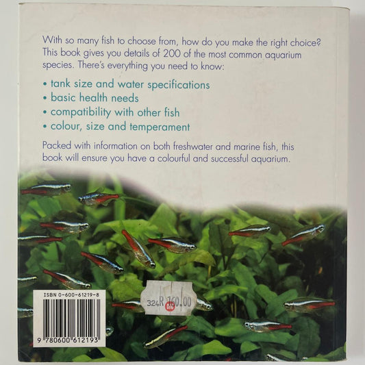 Choosing the Right Fish for Your Aquarium - Jeremy Gay