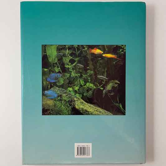 The Complete Aquarium Guide