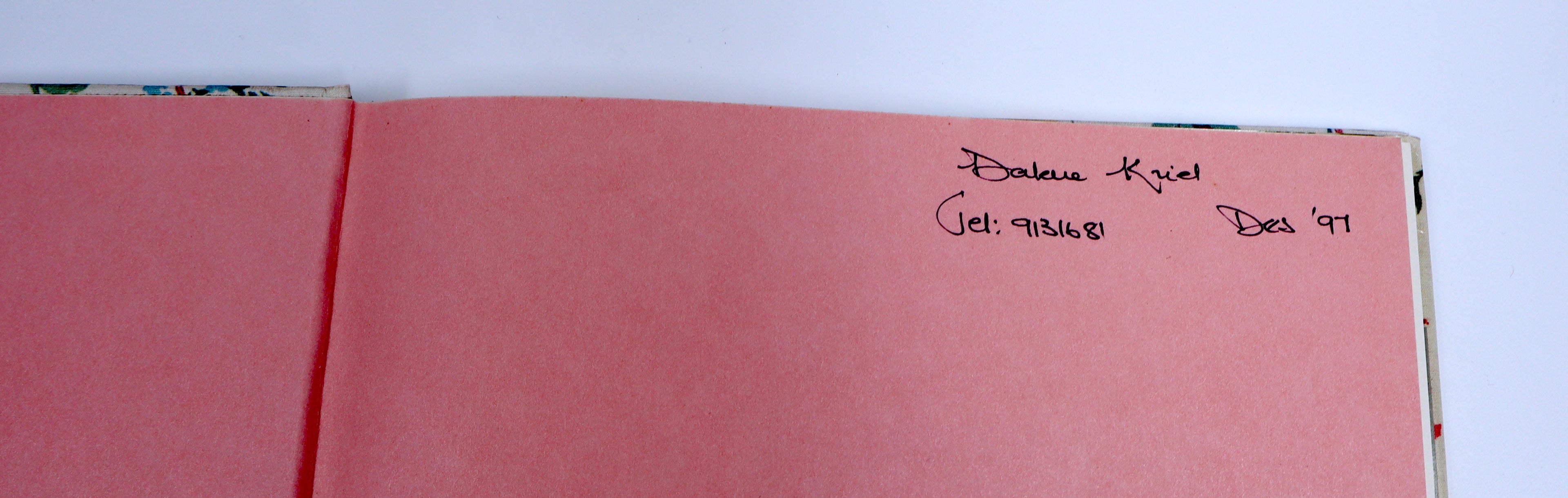 Decorating with Biggie Best - Pru Pfuhl, Merry Dewar & Belinda Nathan