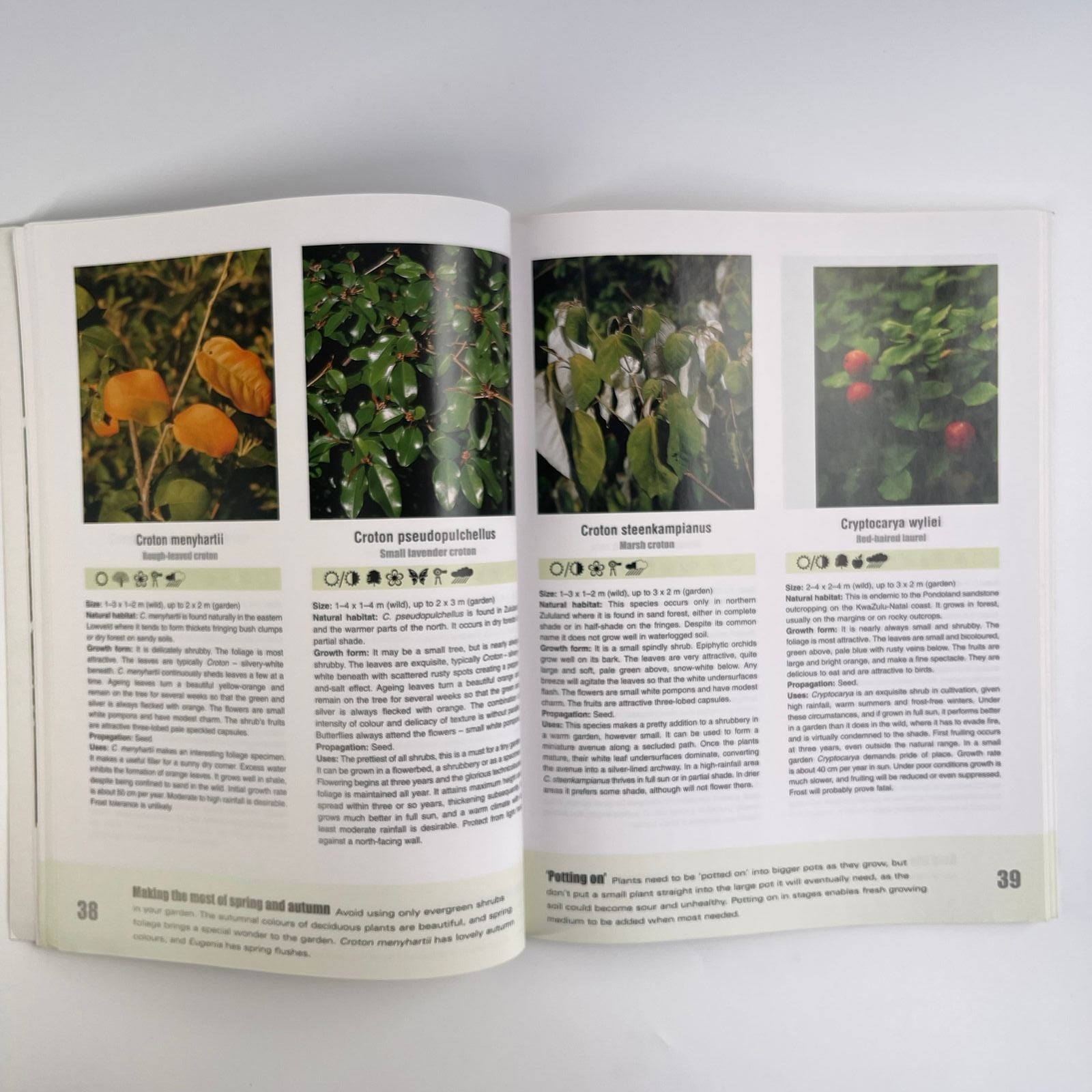 Down to Earth: Gardening with Indigenous Shrubs - David R. Johnson, Sally Johnson & Geoff Nichols