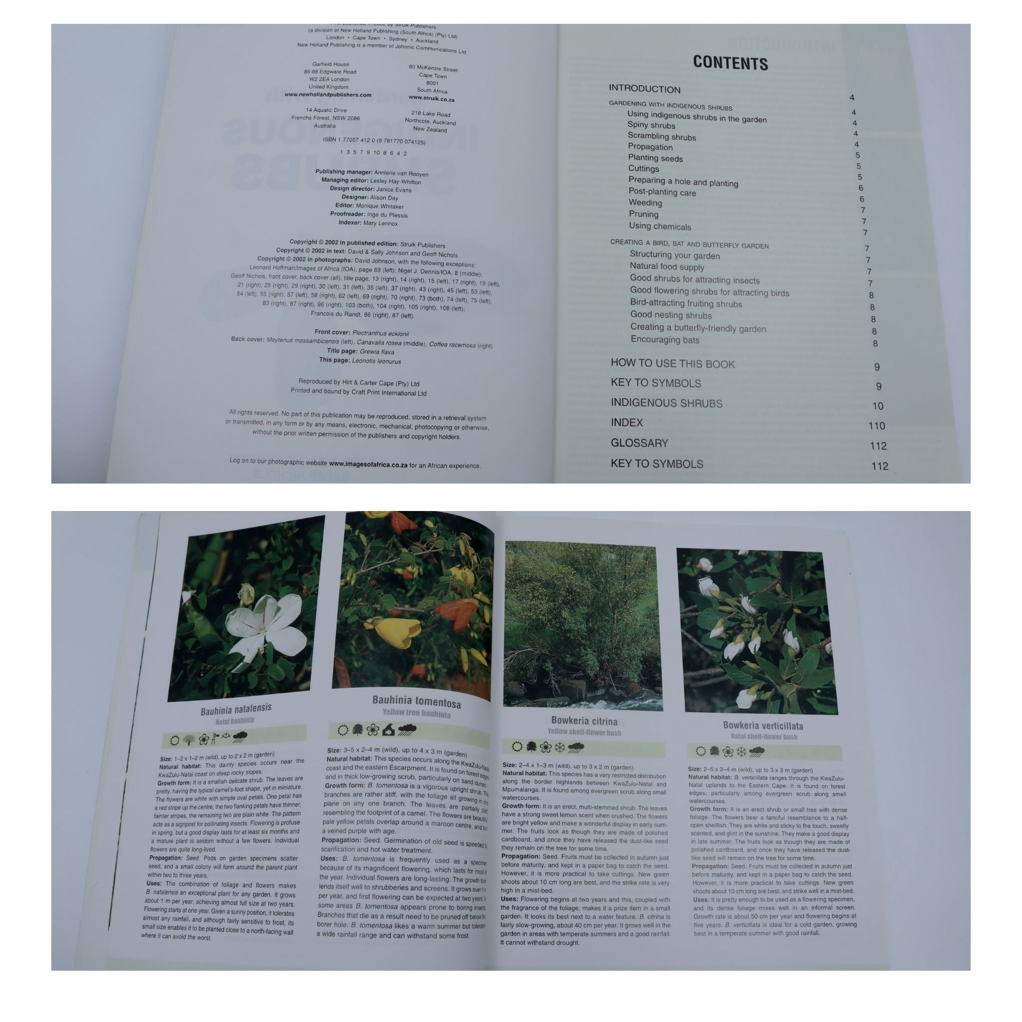 Down to Earth: Gardening with Indigenous Shrubs - David R. Johnson, Sally Johnson & Geoff Nichols