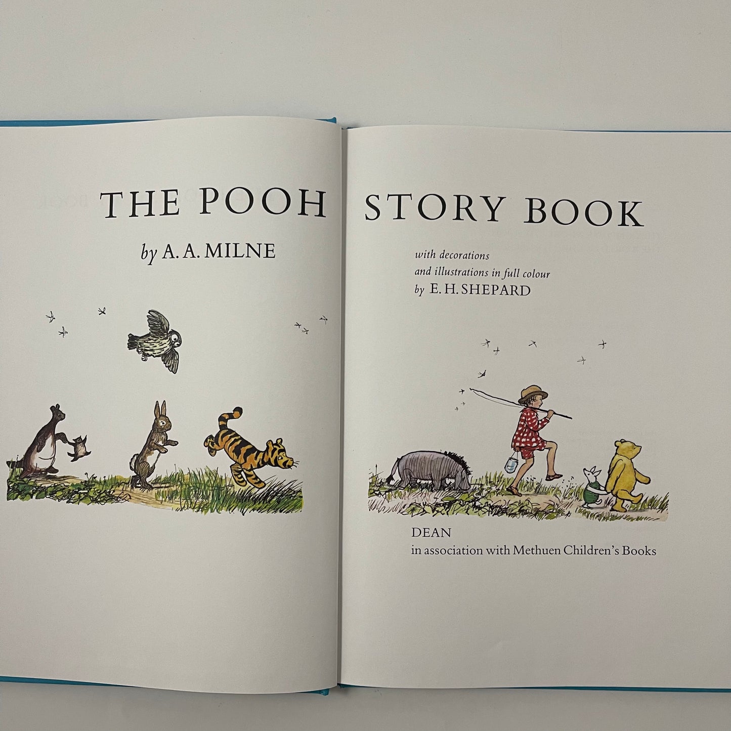 The Pooh Story Book - Alan Alexander Milne - Condition Detail 2