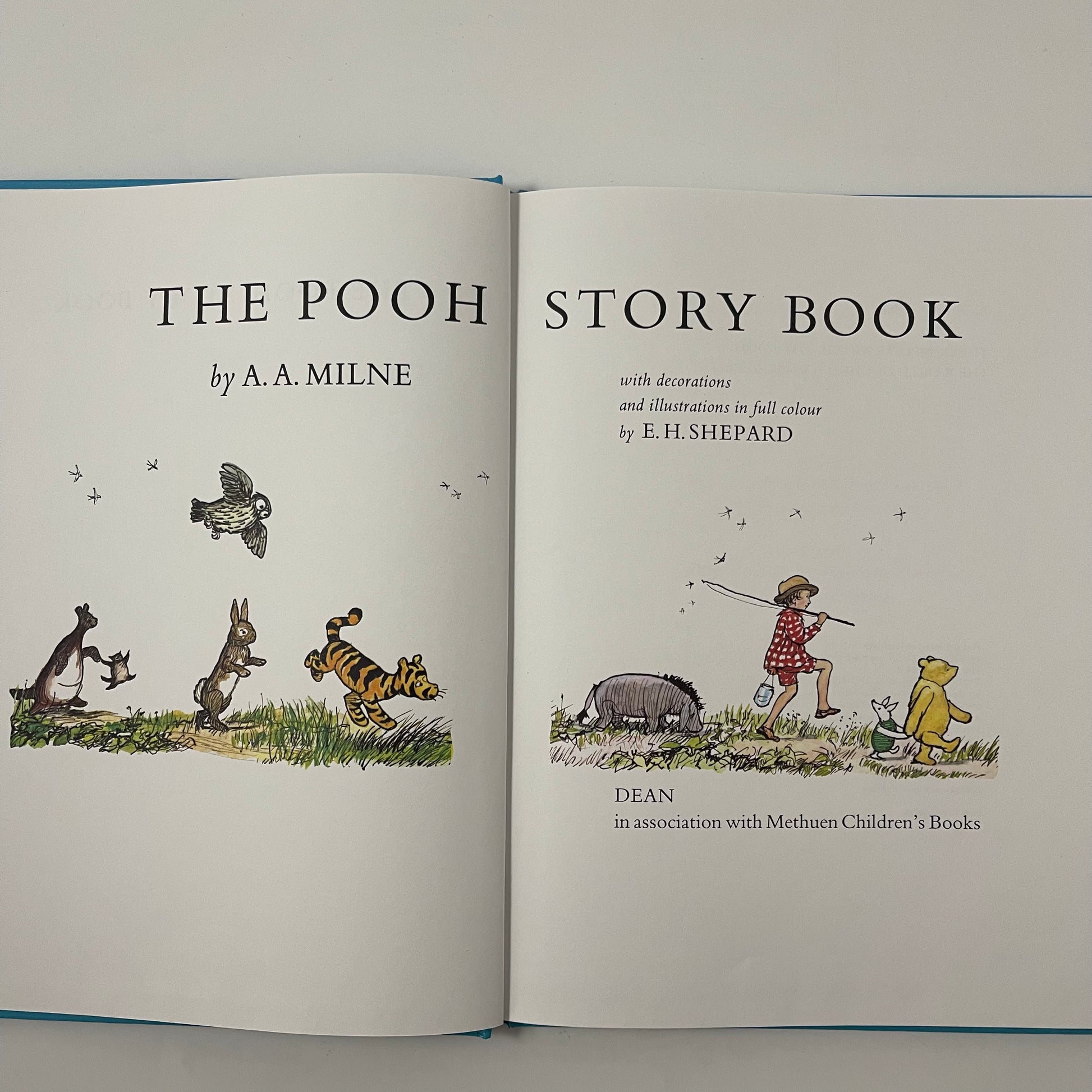The Pooh Story Book - Alan Alexander Milne - Condition Detail 2