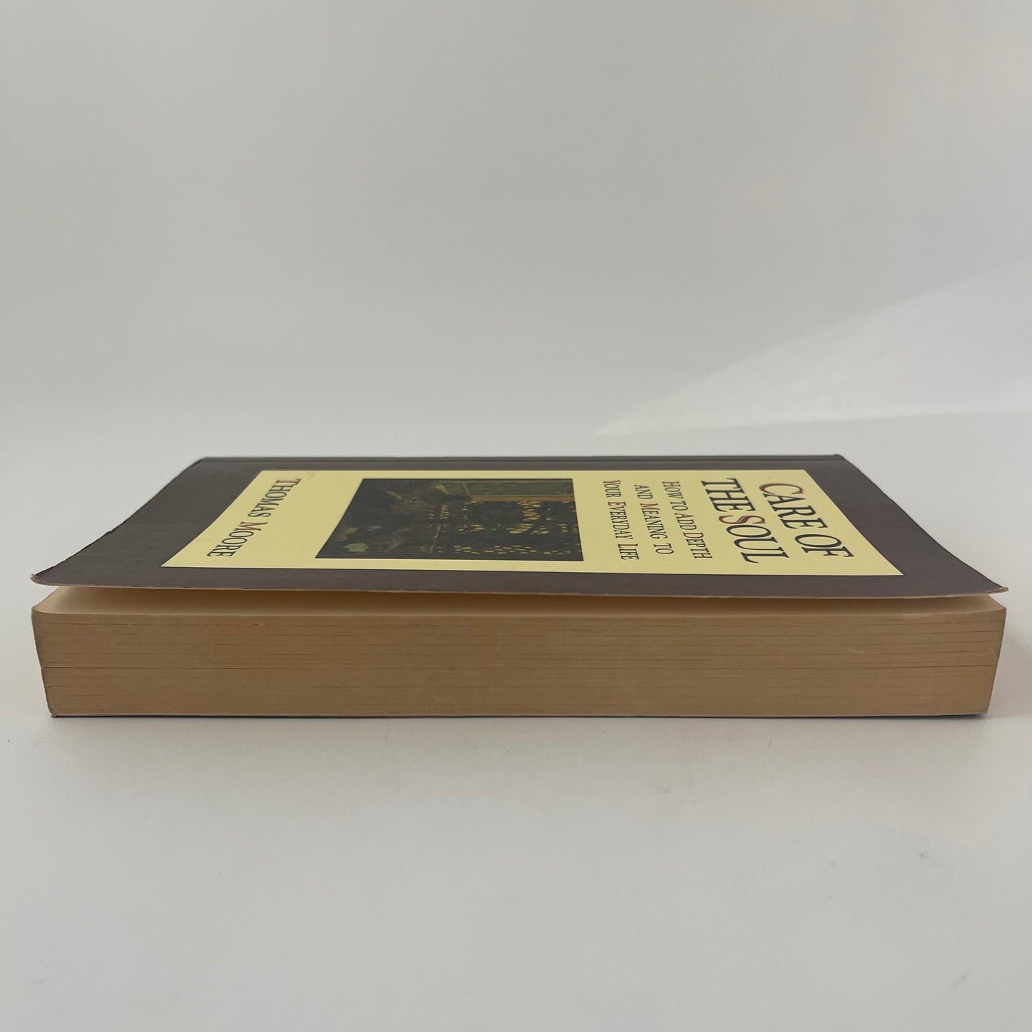 Care of the Soul How to Add Depth and Meaning to Your Everyday Life - Thomas Moore - Fore Edge