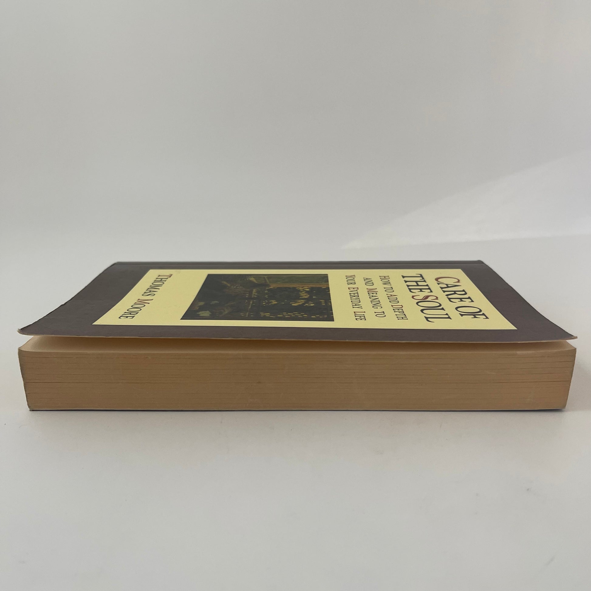 Care of the Soul How to Add Depth and Meaning to Your Everyday Life - Thomas Moore - Fore Edge