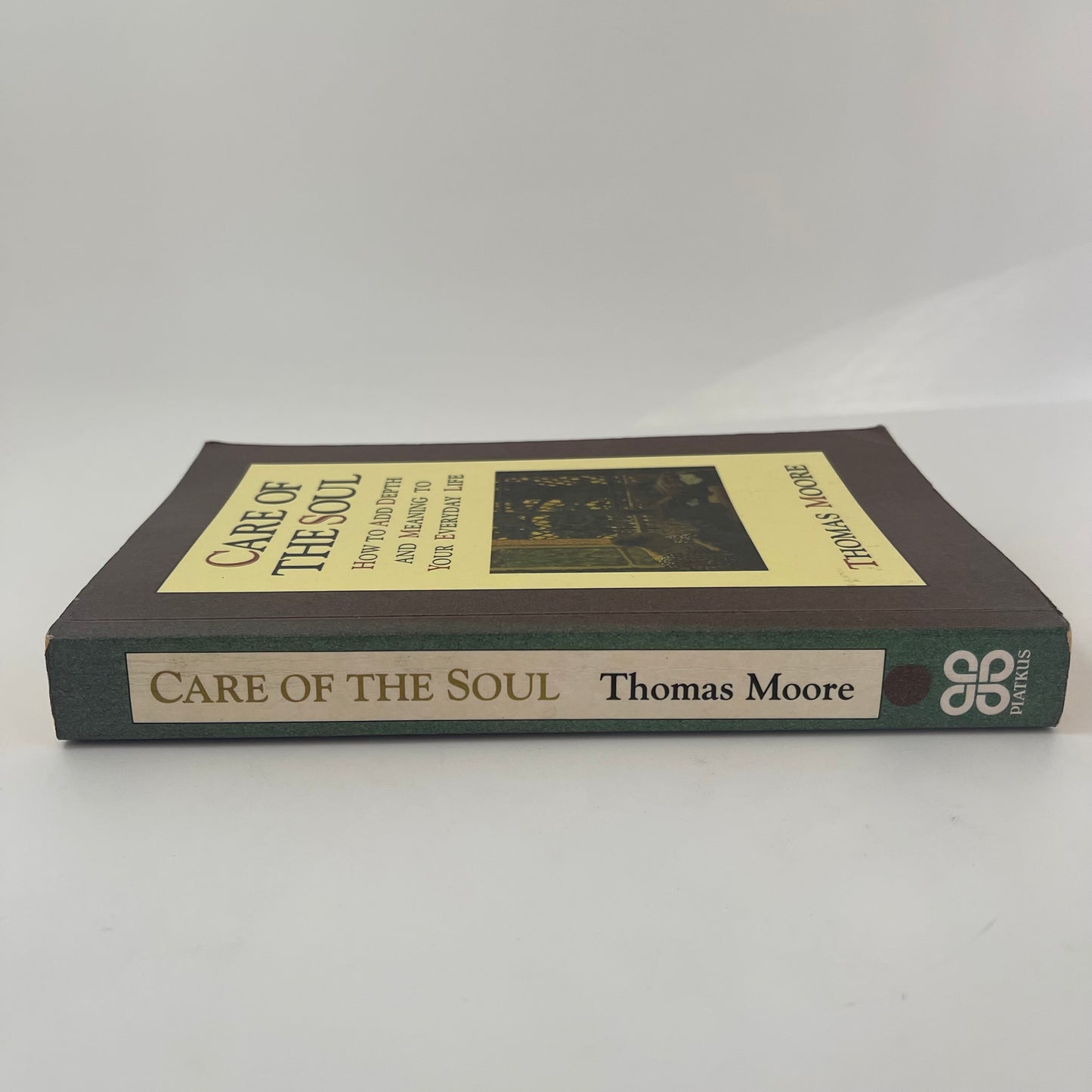 Care of the Soul How to Add Depth and Meaning to Your Everyday Life - Thomas Moore - Spine