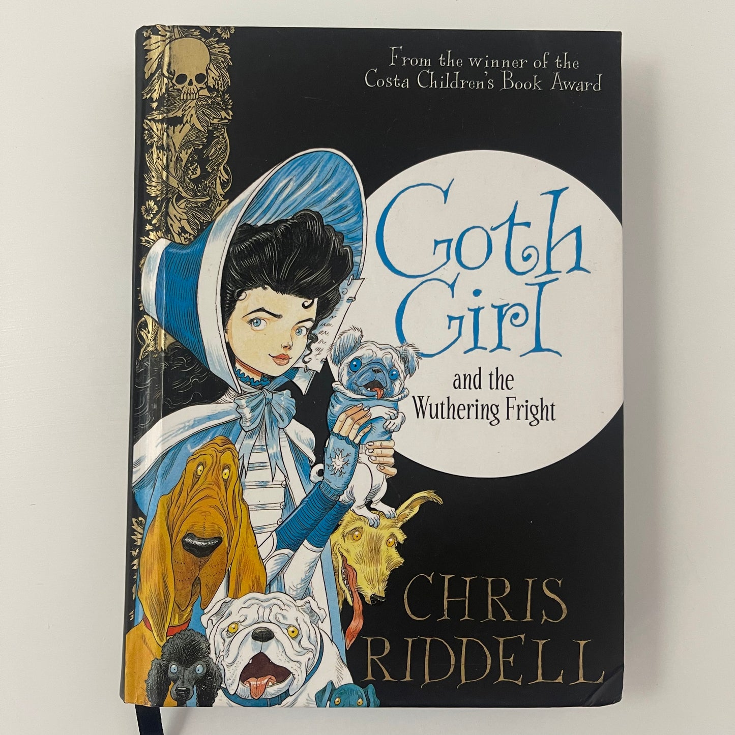 Goth Girl and the Wuthering Fright - Chris Riddell - Front Cover