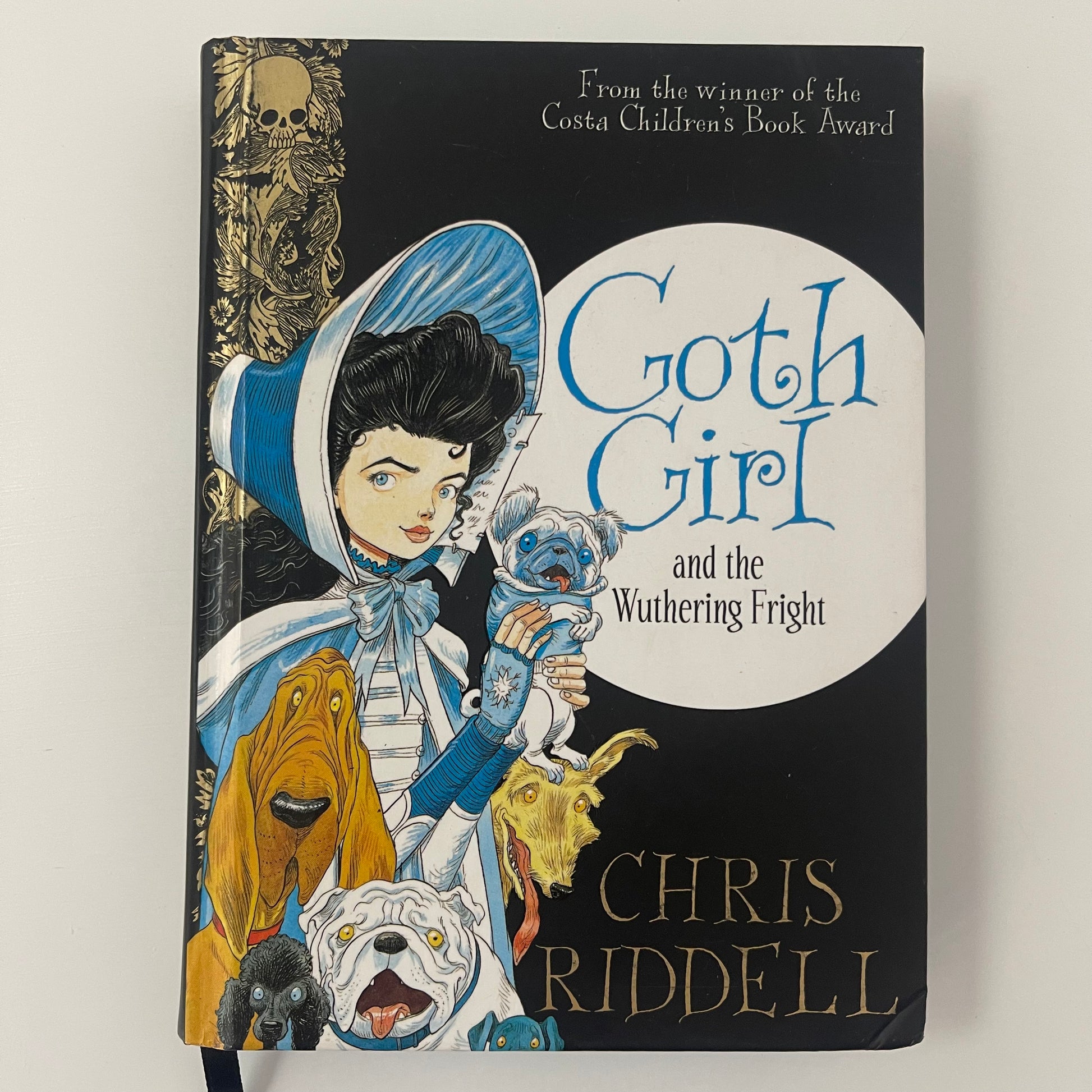 Goth Girl and the Wuthering Fright - Chris Riddell - Front Cover