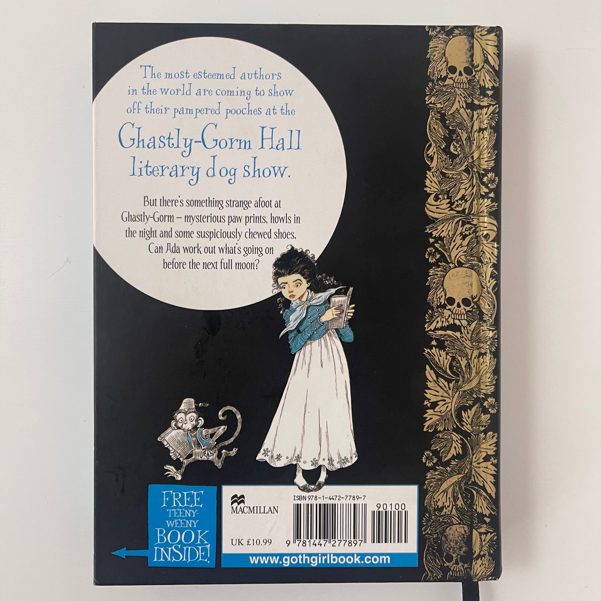 Goth Girl and the Wuthering Fright - Chris Riddell - Back Cover