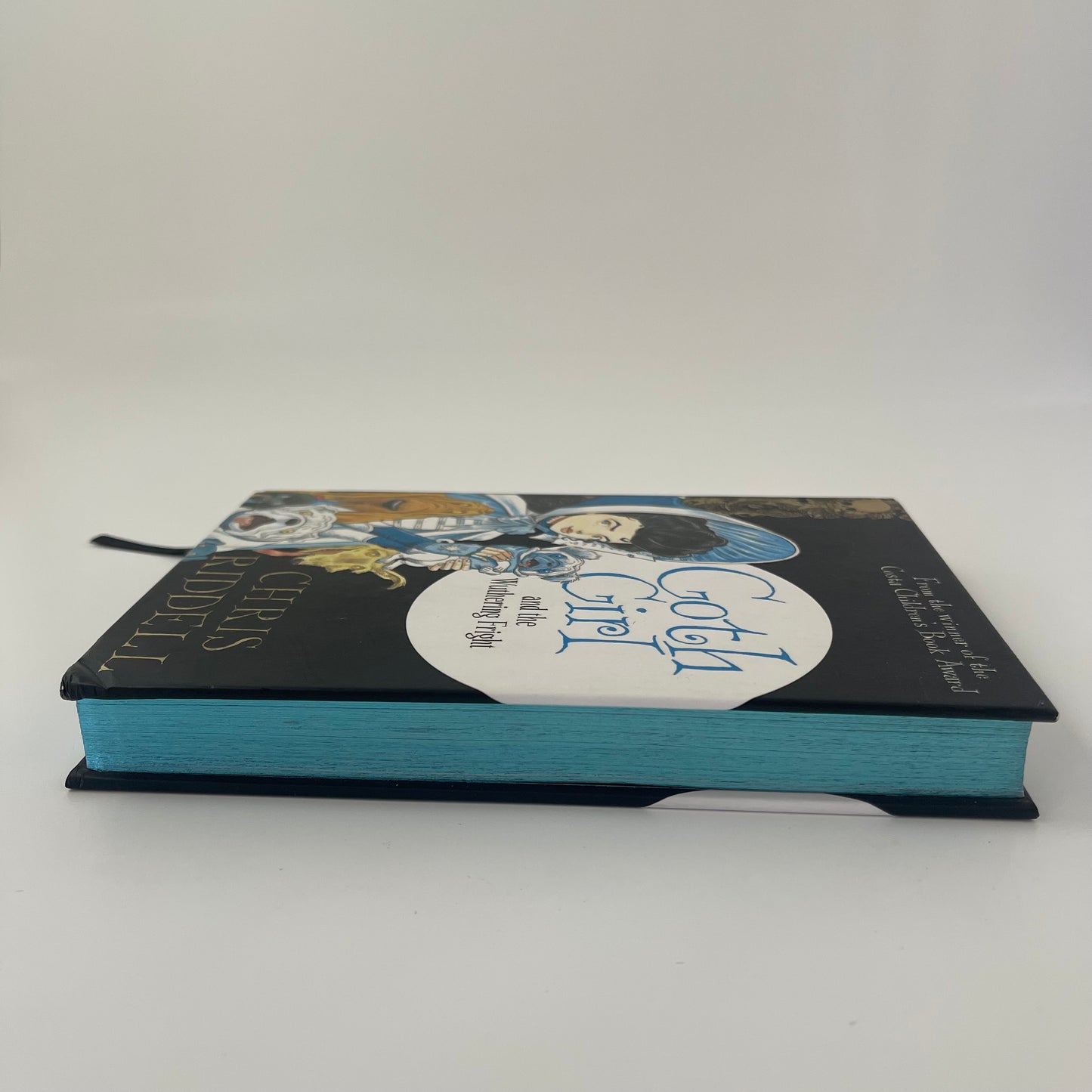 Goth Girl and the Wuthering Fright - Chris Riddell - Fore Edge