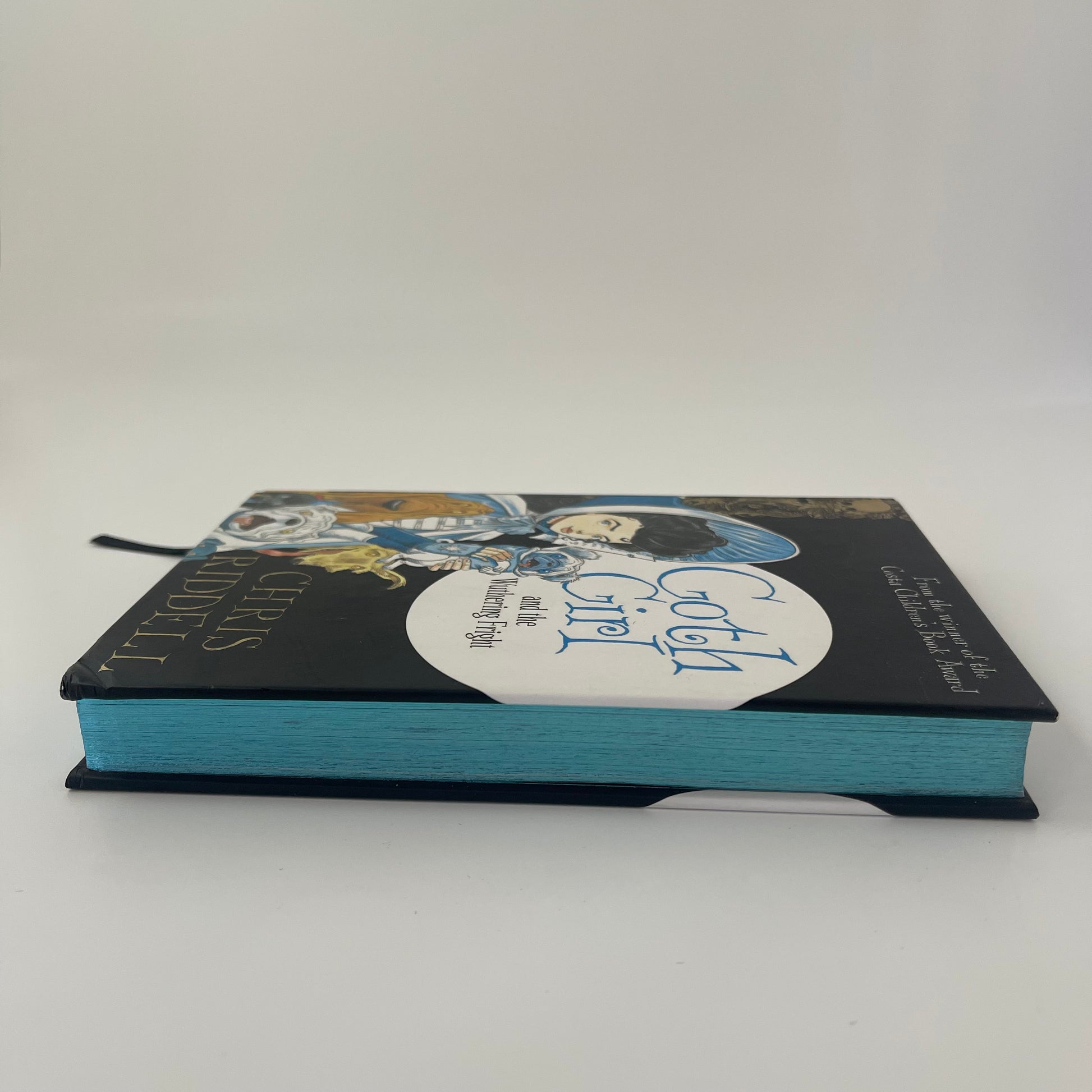 Goth Girl and the Wuthering Fright - Chris Riddell - Fore Edge
