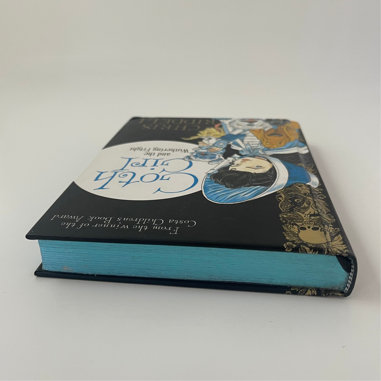 Goth Girl and the Wuthering Fright - Chris Riddell - Top Edge