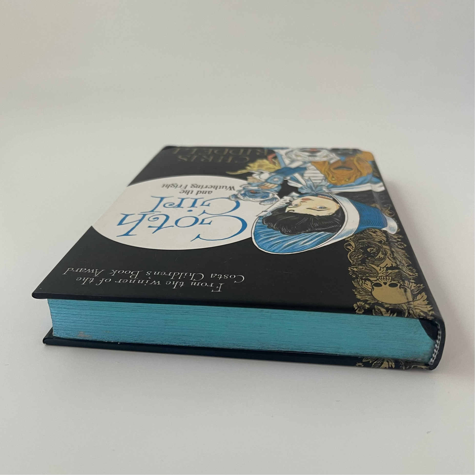 Goth Girl and the Wuthering Fright - Chris Riddell - Top Edge