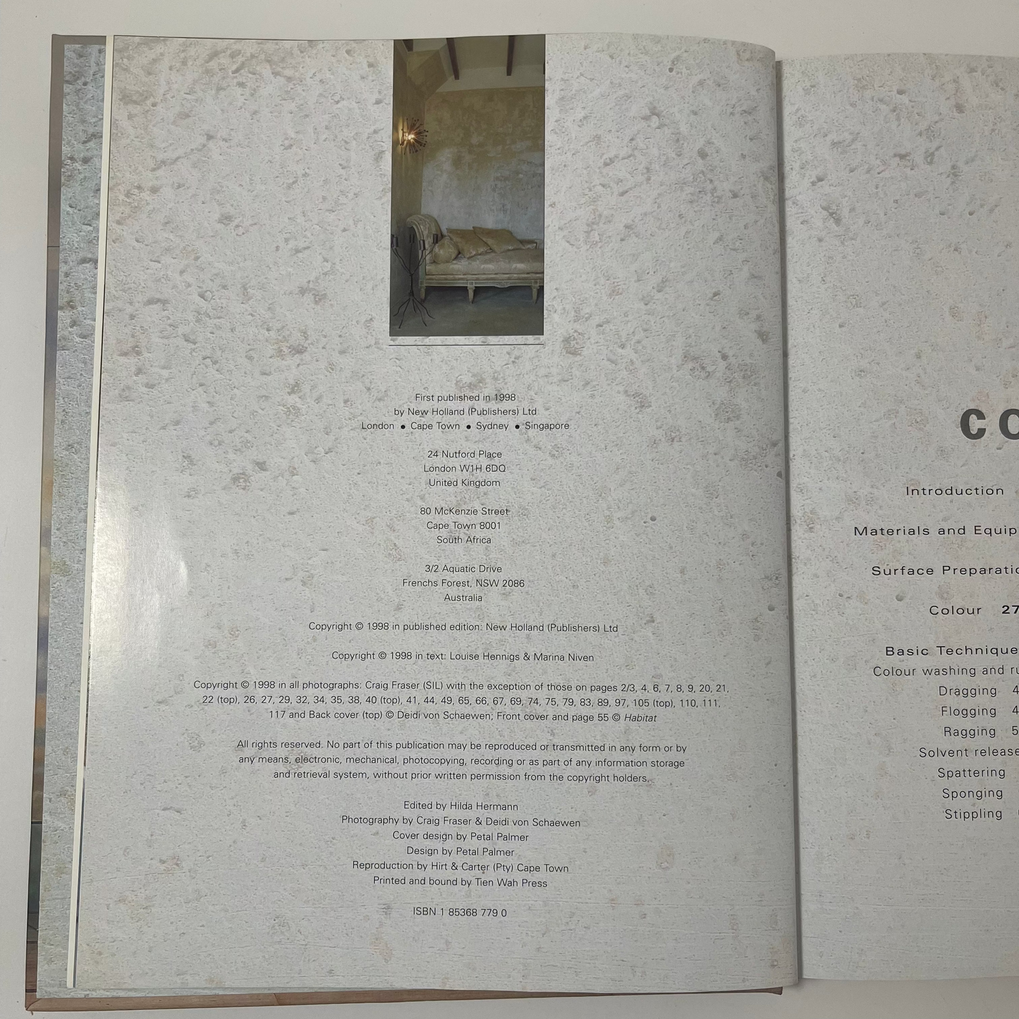 Decorative Paint Finishes - Louise Hennigs - Condition Detail 3