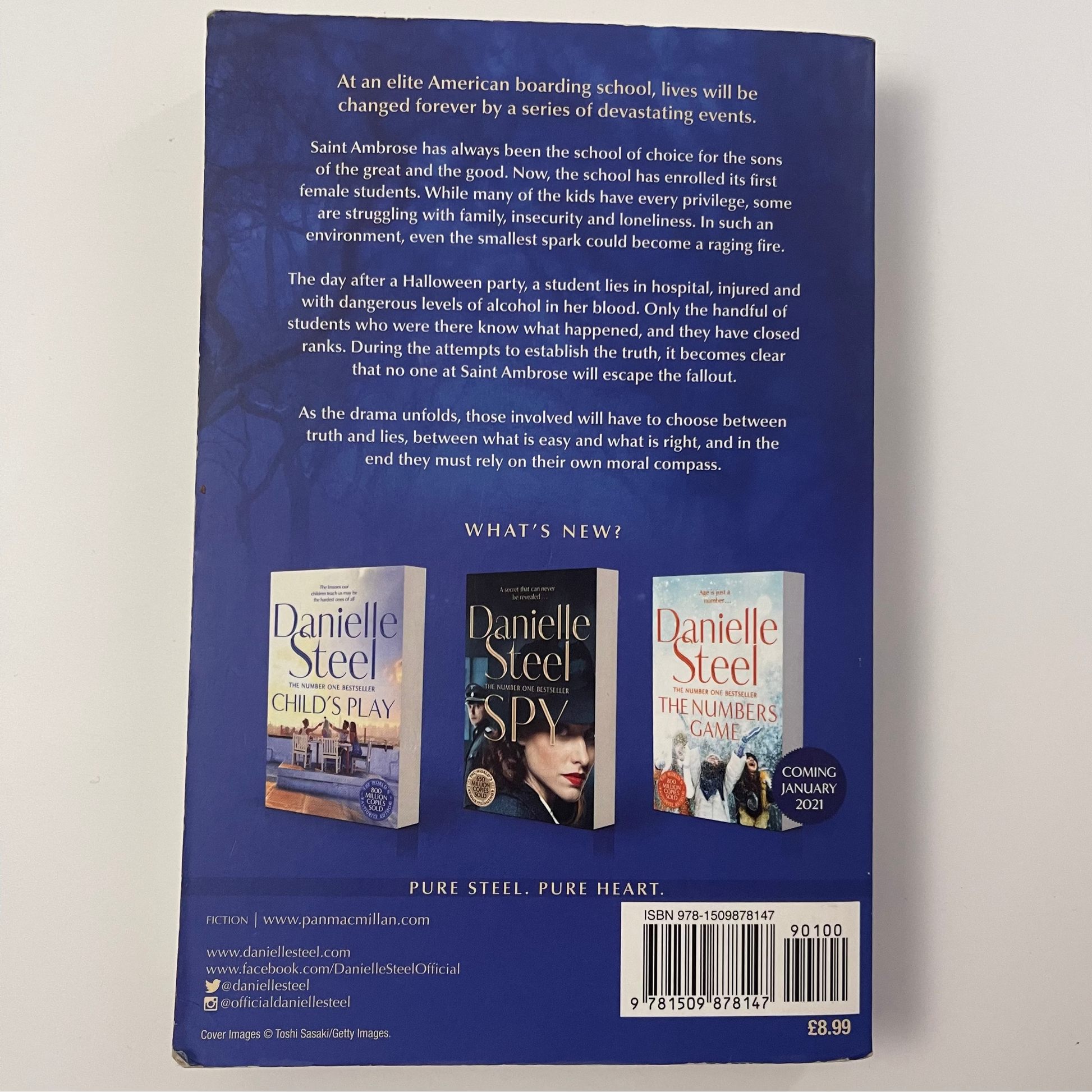 Moral Compass - Danielle Steel - Back Cover