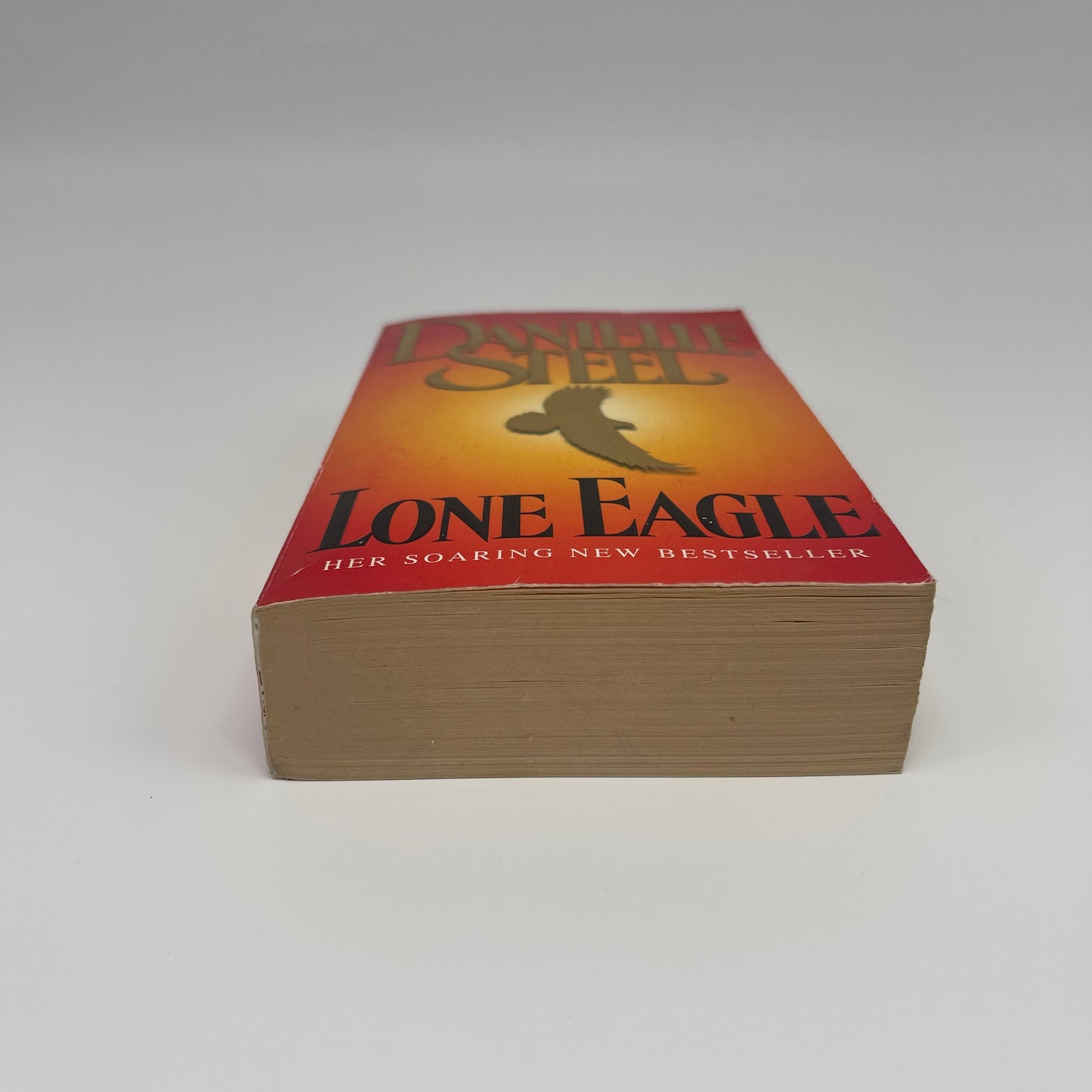 Lone Eagle - Danielle Steel - Bottom Edge