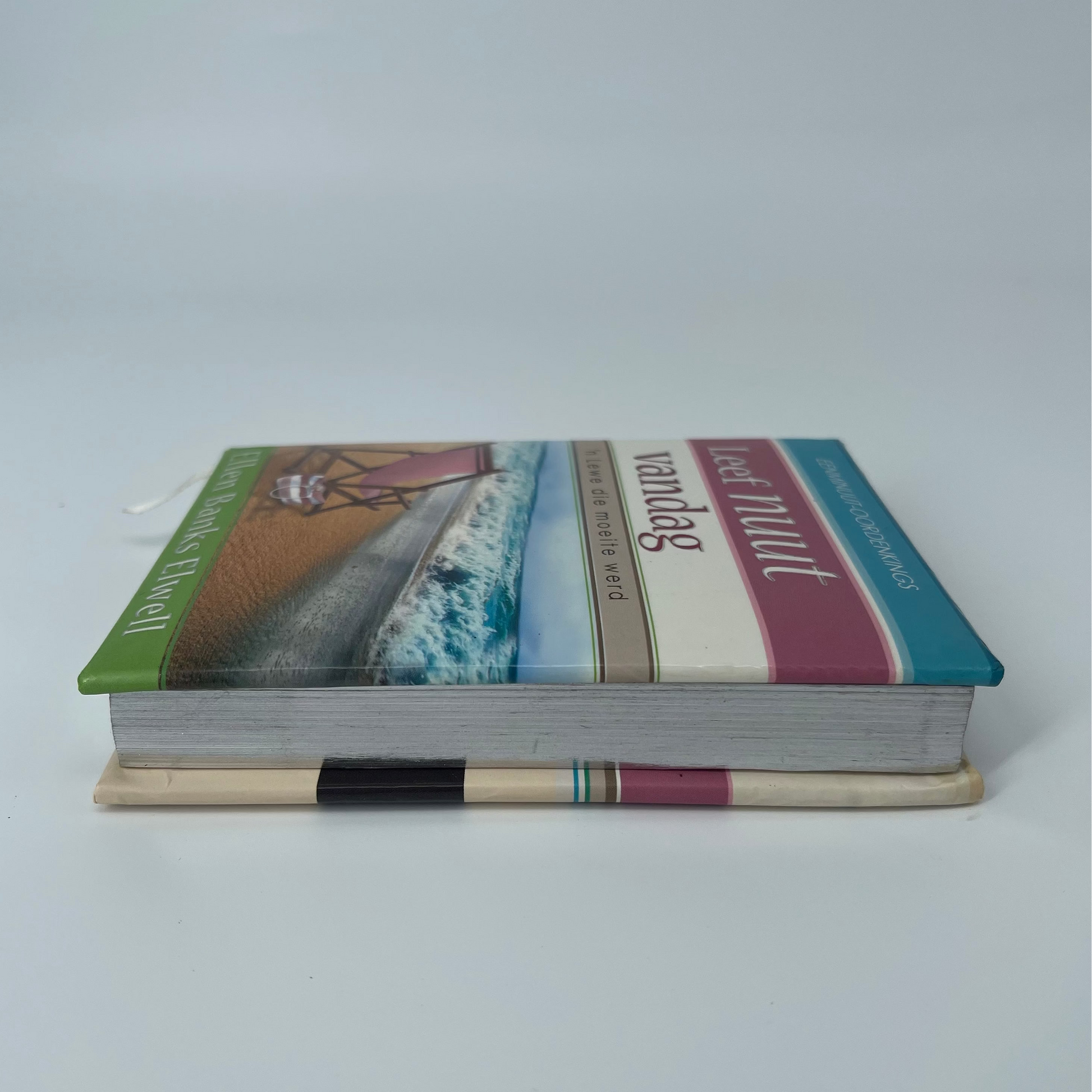 Leef nuut vandag 'n lewe die moeite werd - Ellen Banks Elwell - Fore Edge
