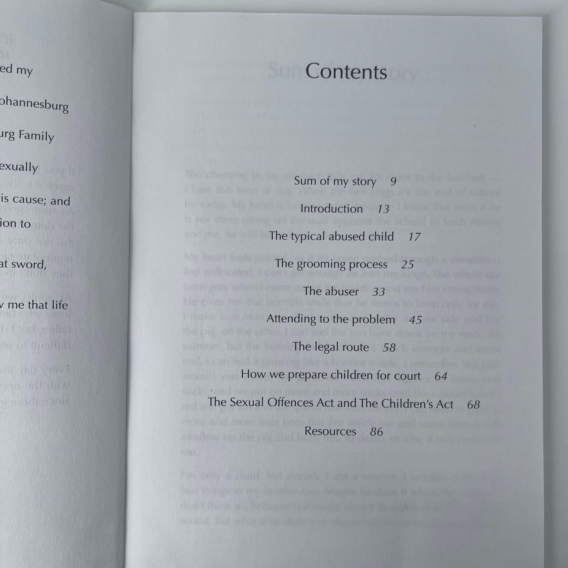 Every Parent's Nightmare The Essential Guide for Adults Dealing with Child Abuse - Bruna Dessena - Condition Detail 2