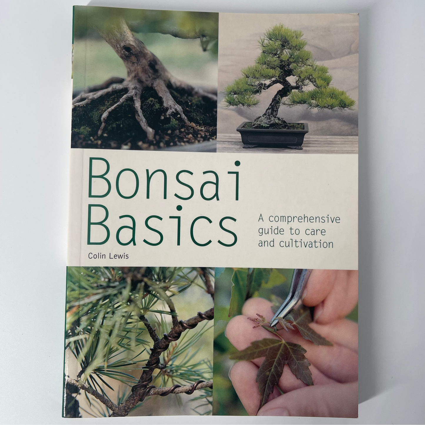 Bonsai Basics - Colin Lewis - Front Cover