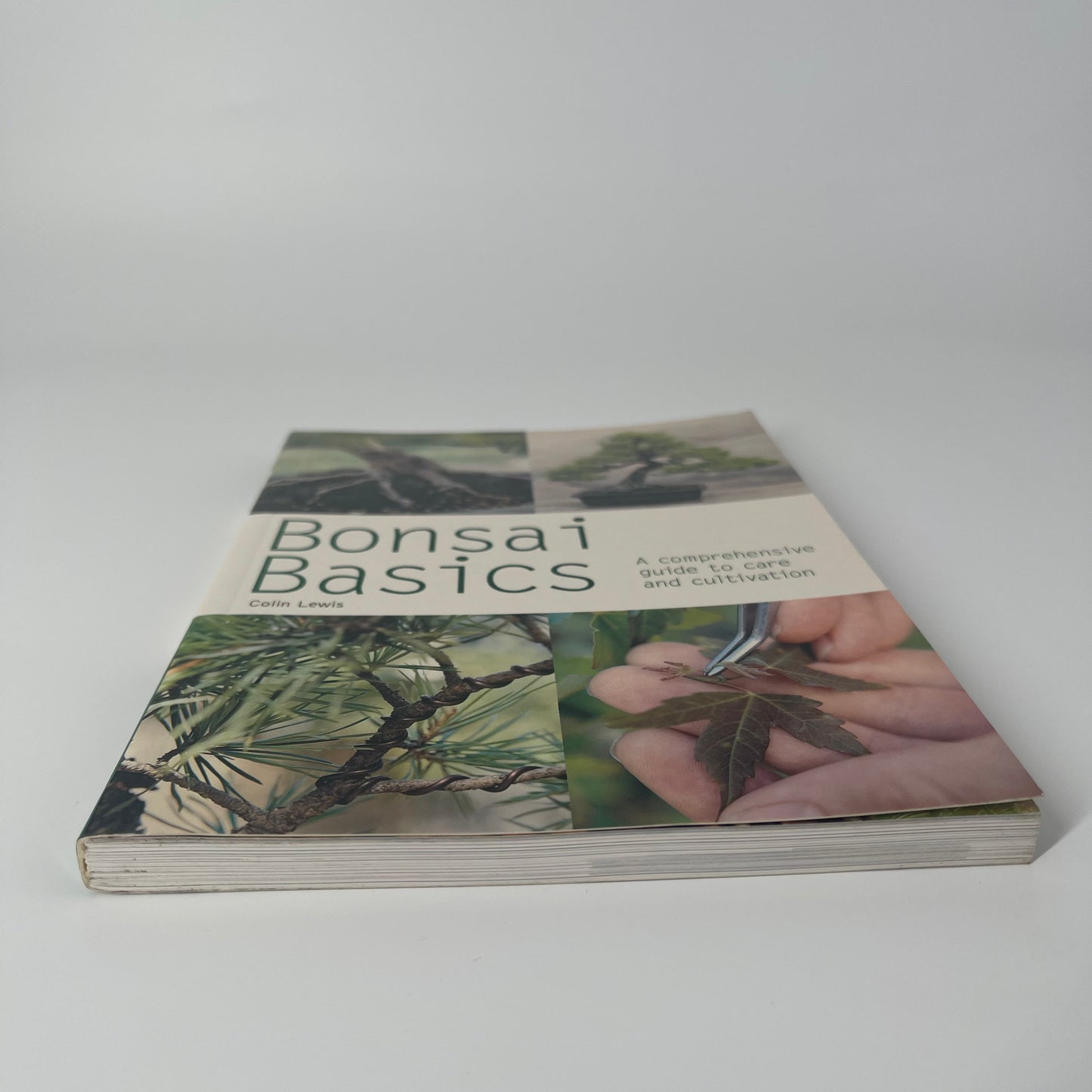 Bonsai Basics - Colin Lewis - Bottom Edge
