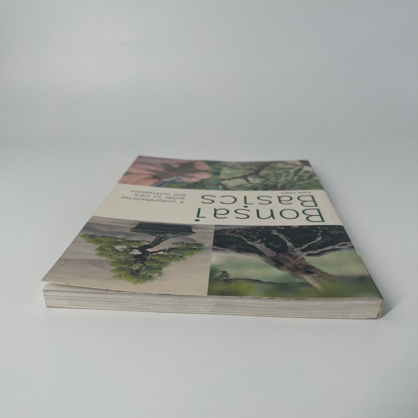 Bonsai Basics - Colin Lewis - Top Edge