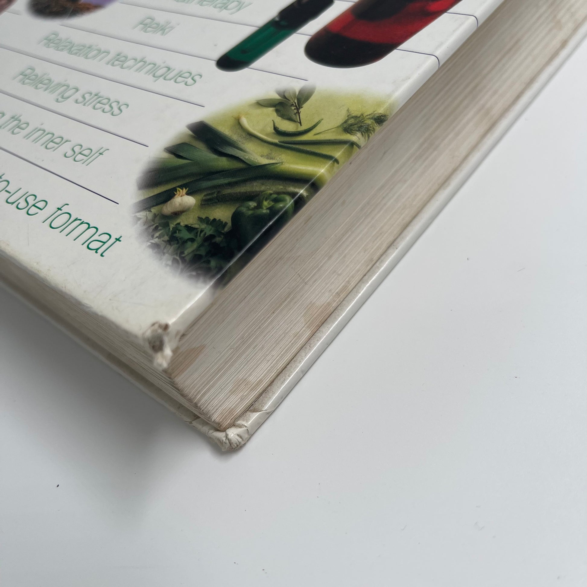 Guide to Natural Healing - unknown - Condition Detail 2