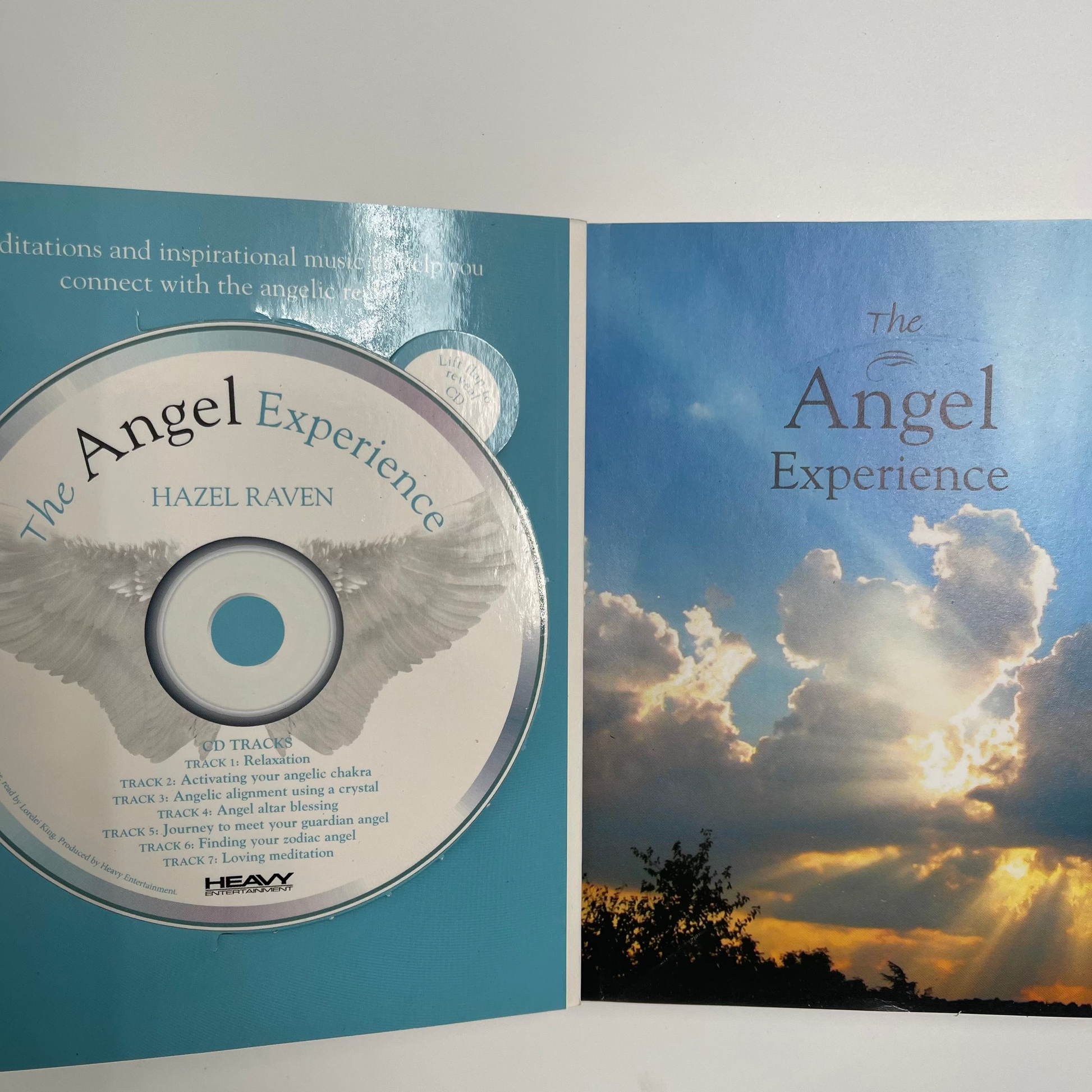 The Angel Experience Your Complete Angel Workshop in a Book - Hazel Raven - Fore Edge
