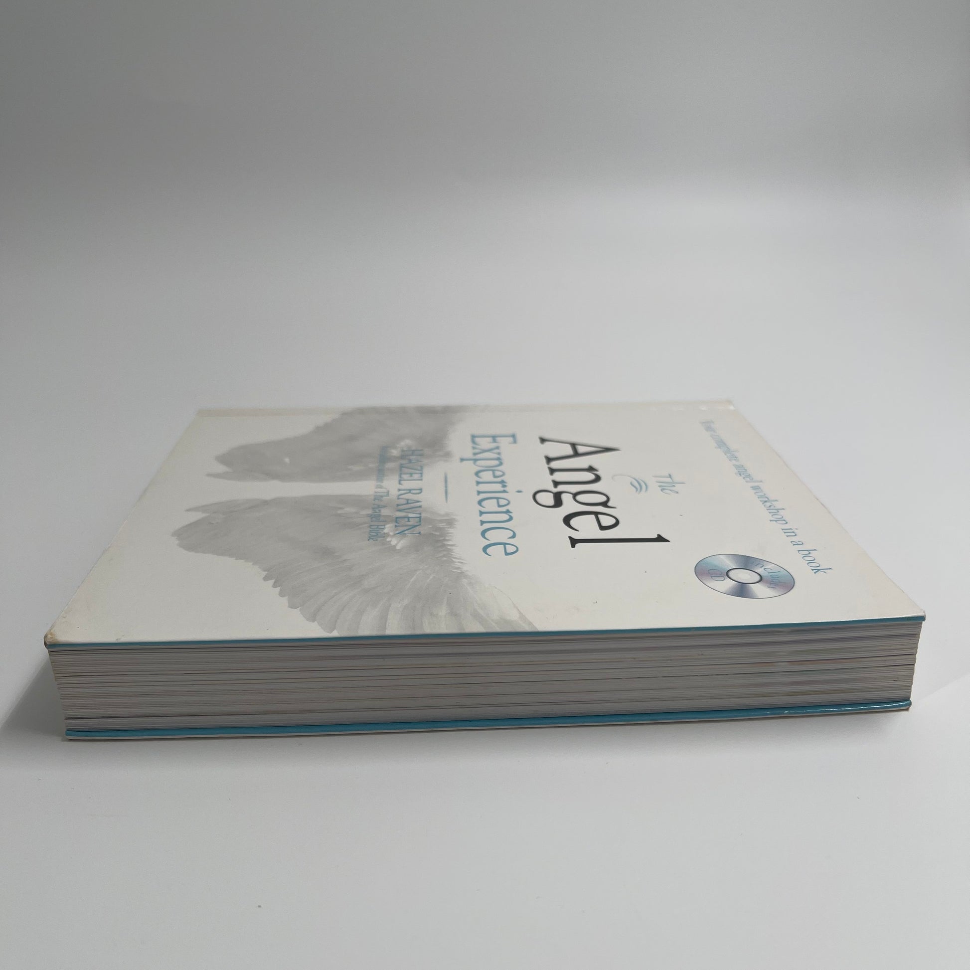 The Angel Experience Your Complete Angel Workshop in a Book - Hazel Raven - Spine