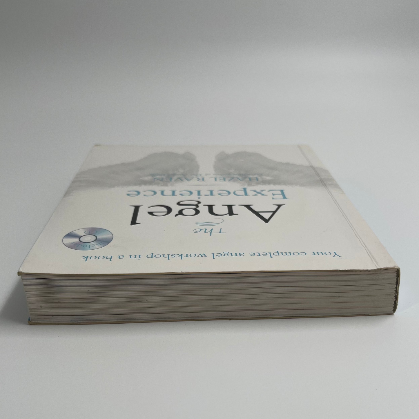 The Angel Experience Your Complete Angel Workshop in a Book - Hazel Raven - Condition Detail 1