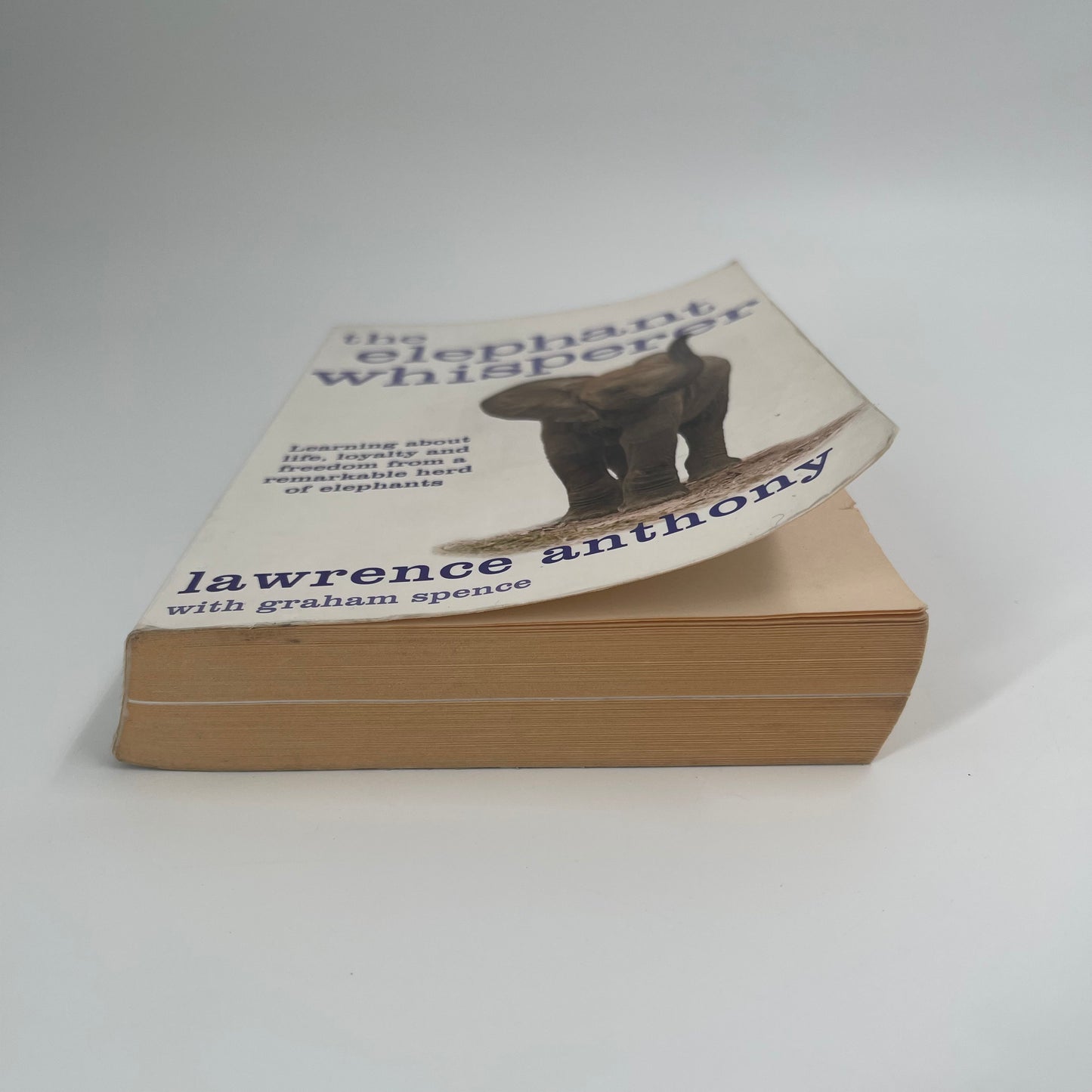 The Elephant Whisperer Learning about Life, Loyalty and Freedom from a Remarkable Herd of Elephants - Anthony Lawrence & Spence Graham - Bottom Edge