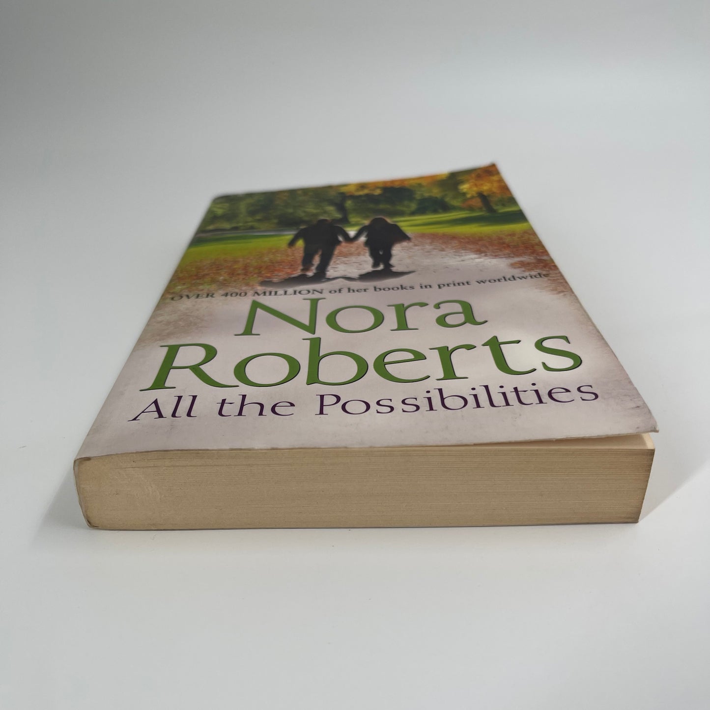 All the Possibilities - Nora Roberts - Bottom Edge
