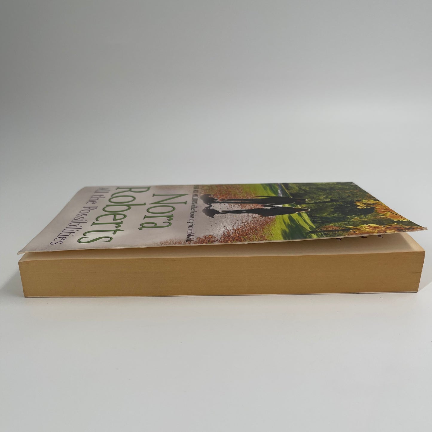 All the Possibilities - Nora Roberts - Fore Edge