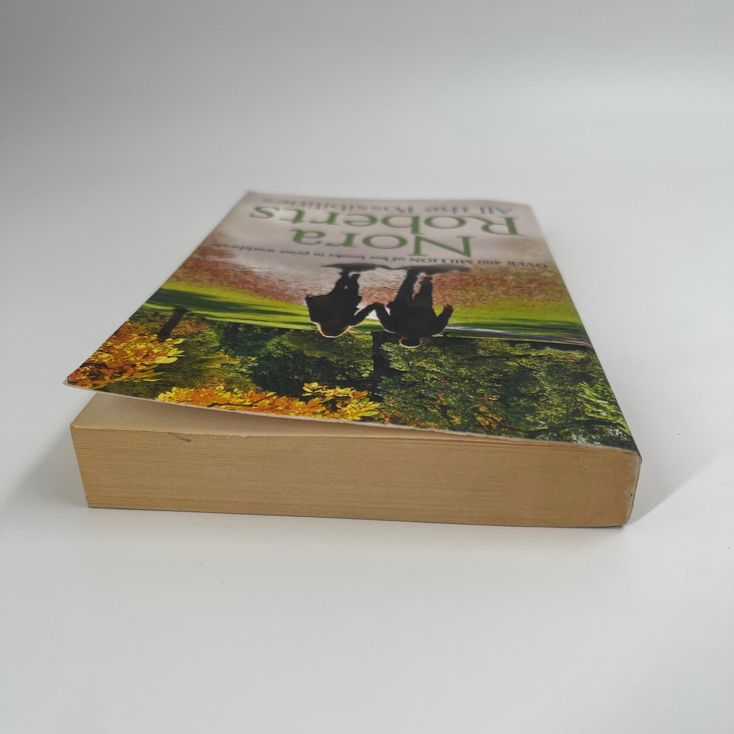 All the Possibilities - Nora Roberts - Top Edge