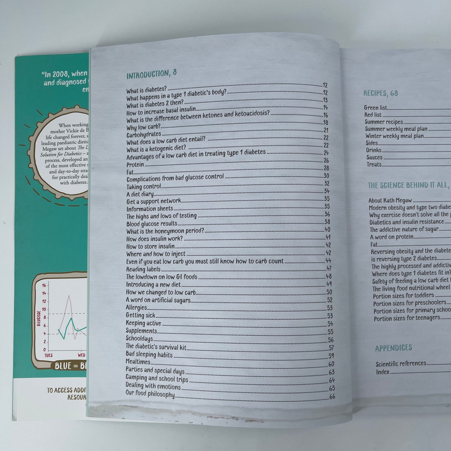 The Low Carb Solution for Diabetics - Vicki De Beer - Condition Detail 6