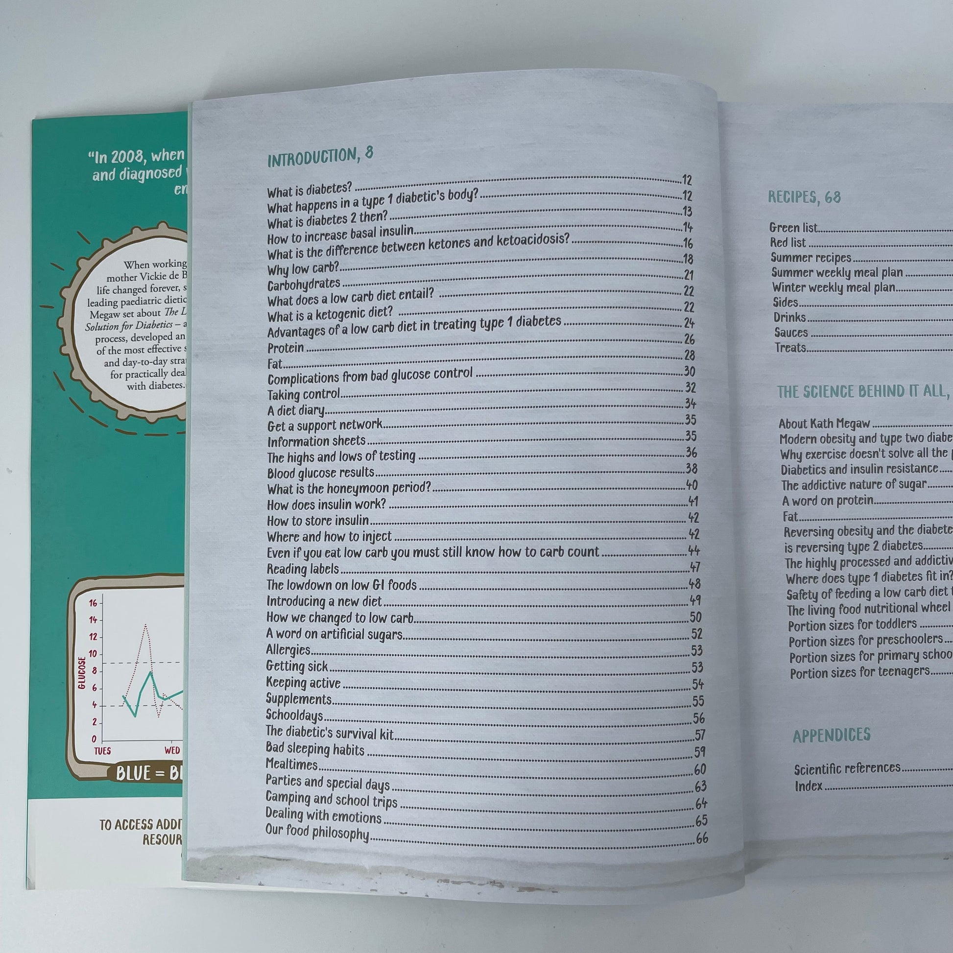 The Low Carb Solution for Diabetics - Vicki De Beer - Condition Detail 6