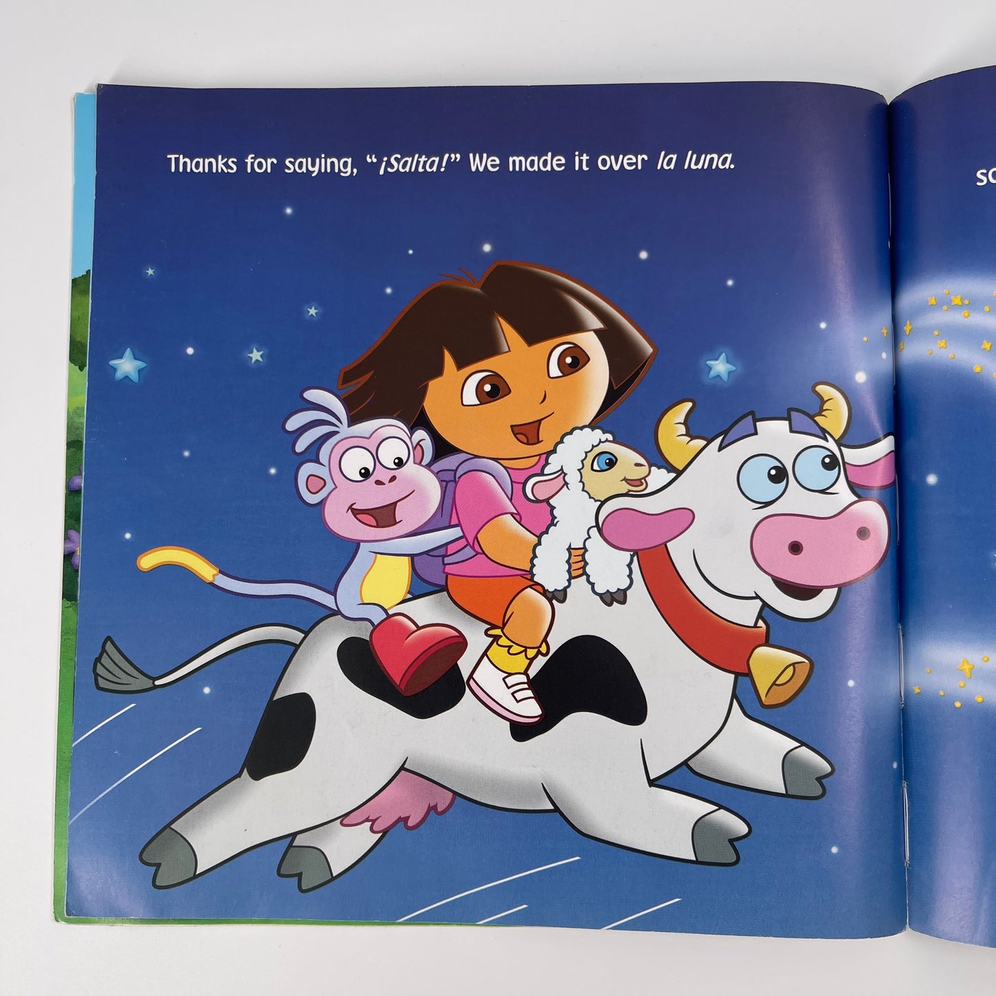 Dora Had a Little Lamb (Dora the Explorer) - Nickelodeon - Condition Detail 3