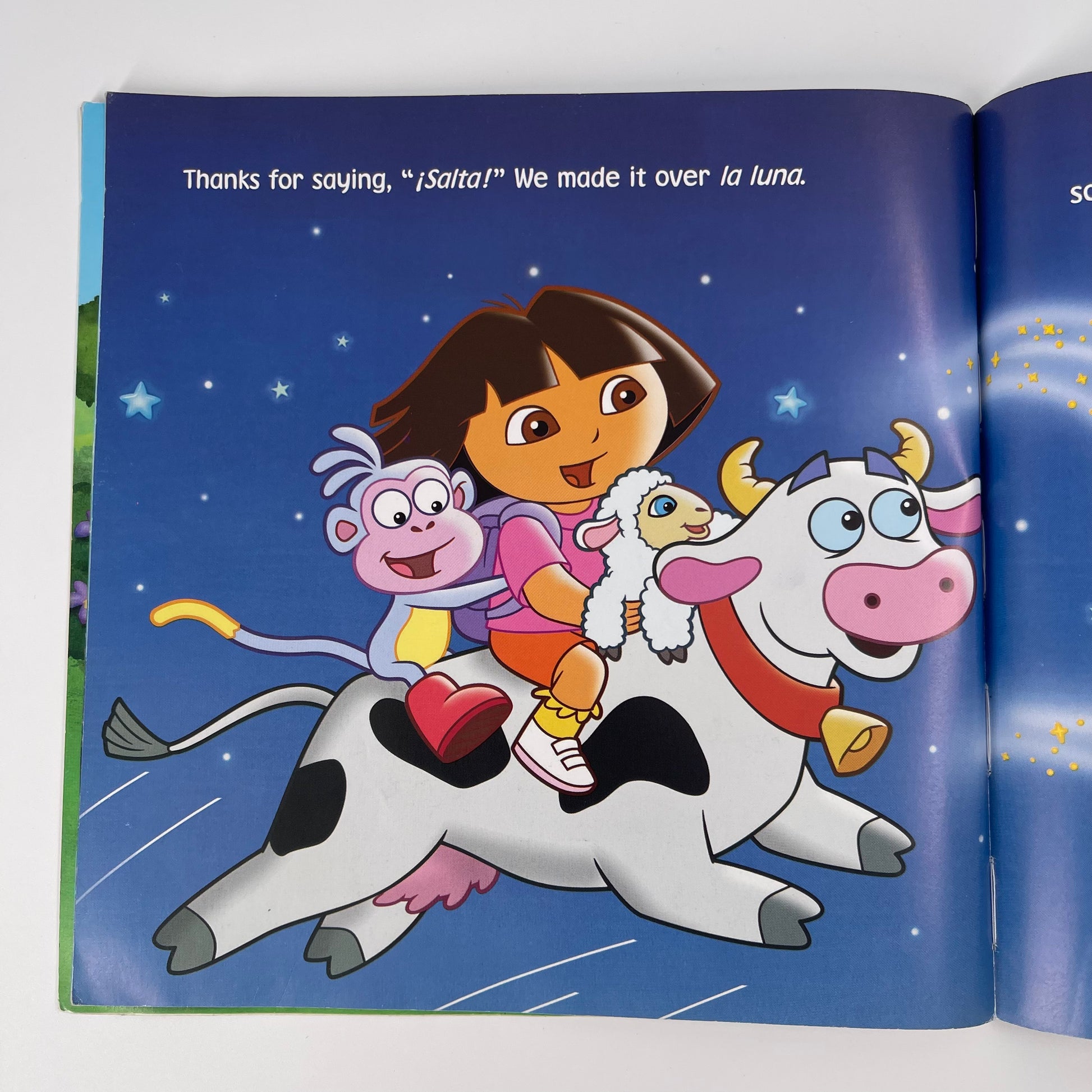 Dora Had a Little Lamb (Dora the Explorer) - Nickelodeon - Condition Detail 3