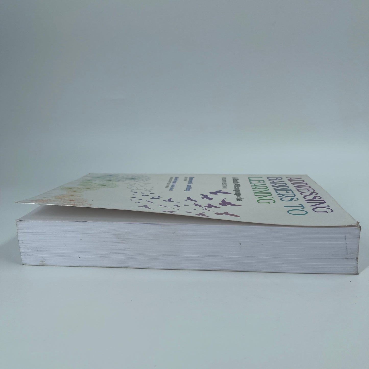 Addressing Barriers to Learning A South African Perspective - Emmerentia Landsberg - Fore Edge