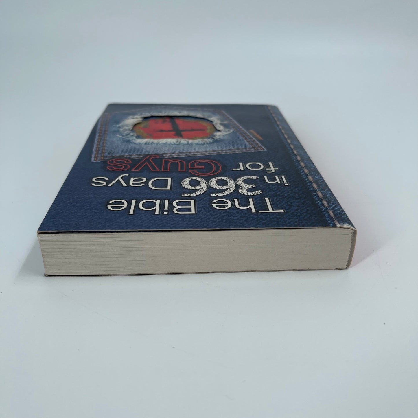 The Bible in 366 Days for Guys - Carolyn Larsen - Top Edge