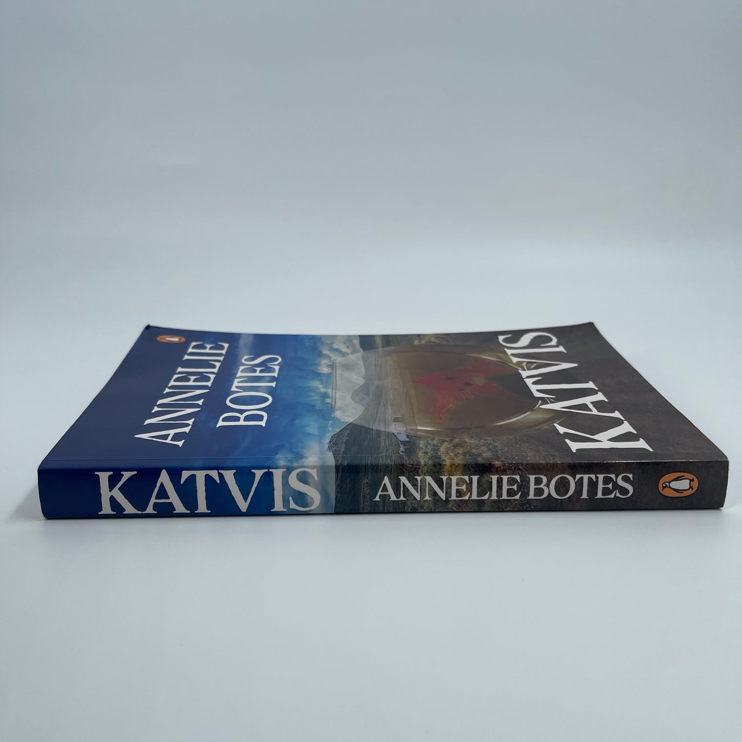 Katvis - Annelie Botes - Spine