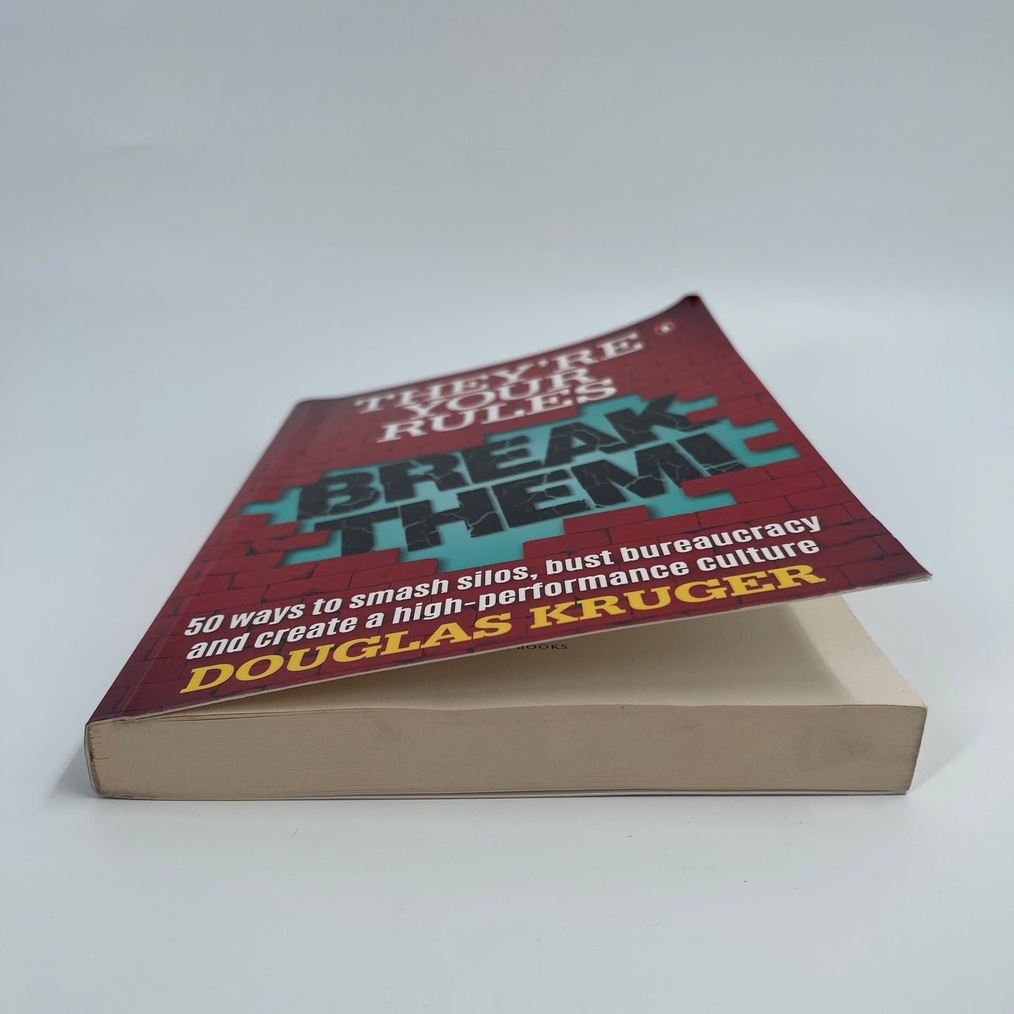 They're Your Rules Break Them - Douglas Kruger - Bottom Edge