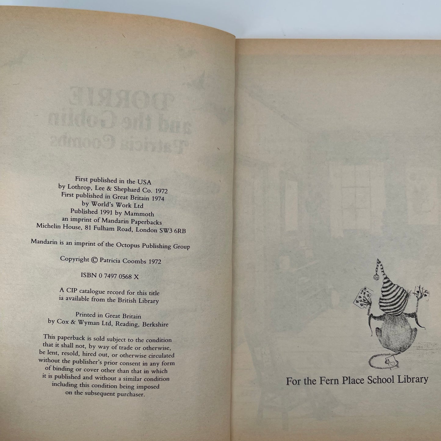Dorrie and the Goblin - Coombs - Condition Detail 1
