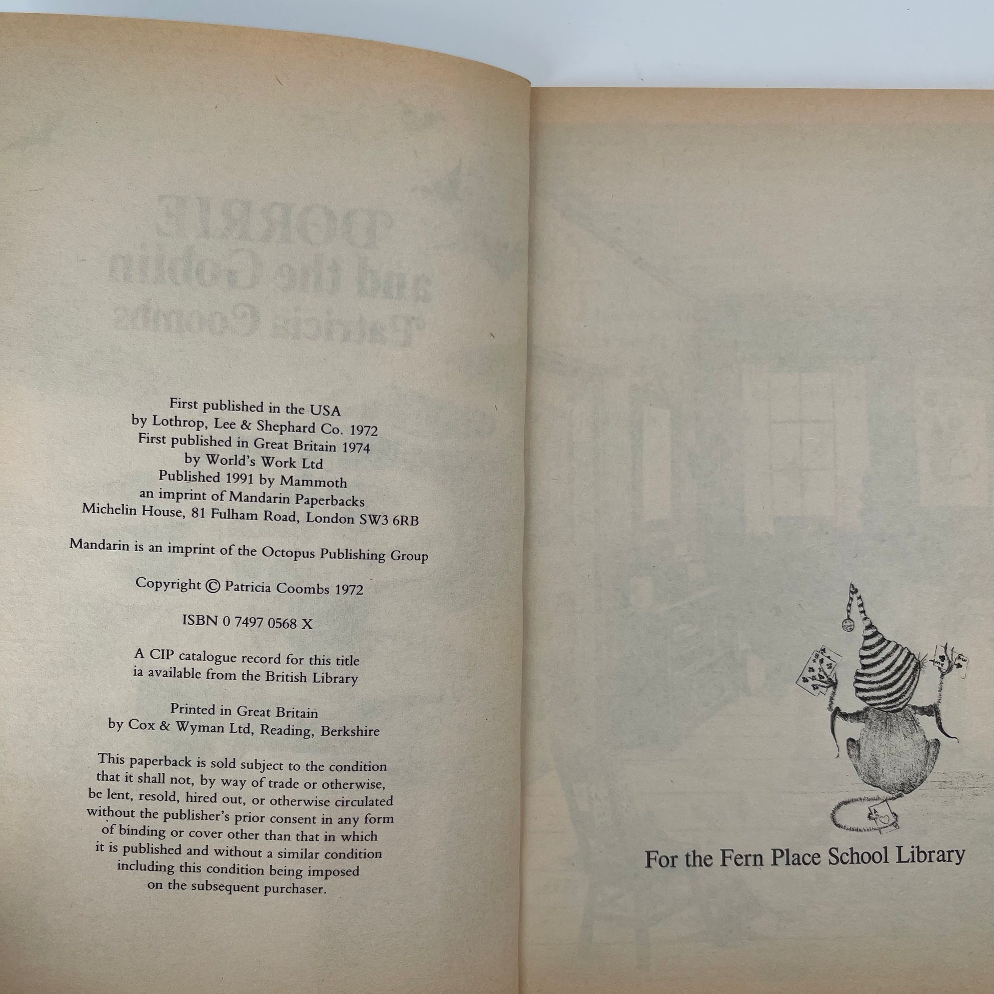 Dorrie and the Goblin - Coombs - Condition Detail 1